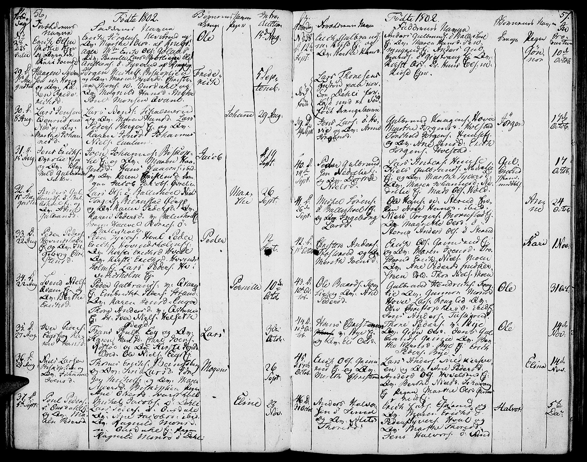 Nes prestekontor, Hedmark, AV/SAH-PREST-020/K/Ka/L0001: Parish register (official) no. 1, 1802-1814, p. 56-57