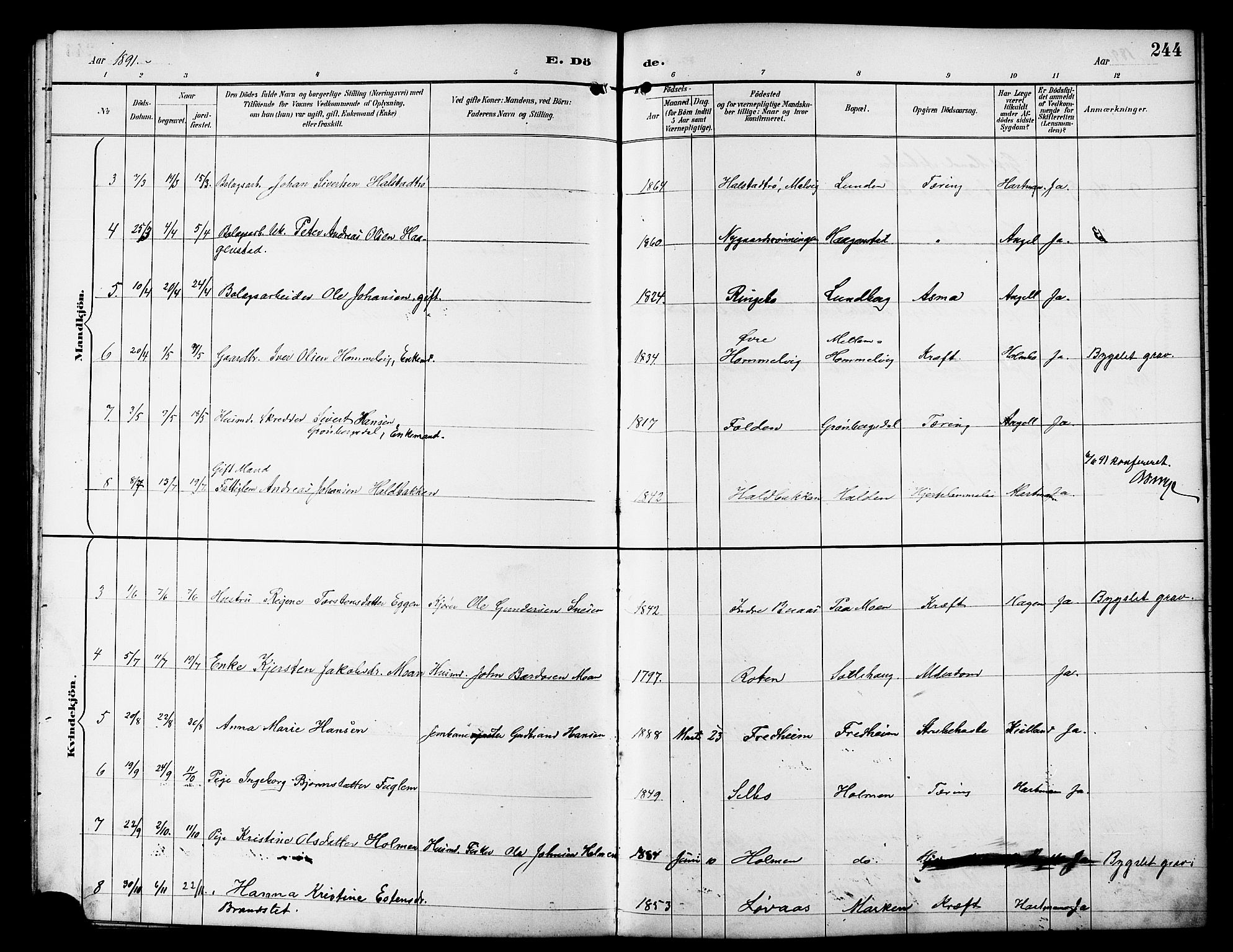 Ministerialprotokoller, klokkerbøker og fødselsregistre - Sør-Trøndelag, SAT/A-1456/617/L0431: Parish register (copy) no. 617C01, 1889-1910, p. 244