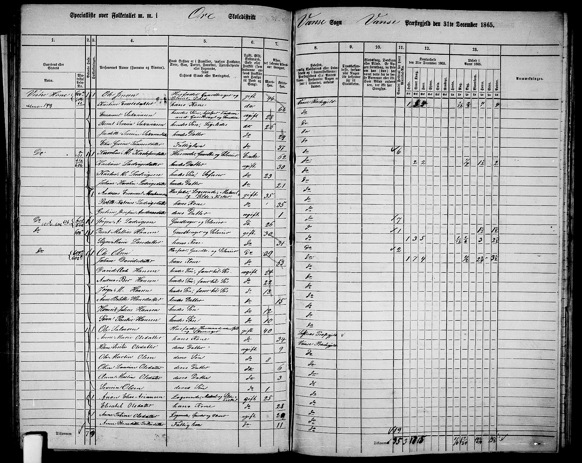 RA, 1865 census for Vanse/Vanse og Farsund, 1865, p. 217