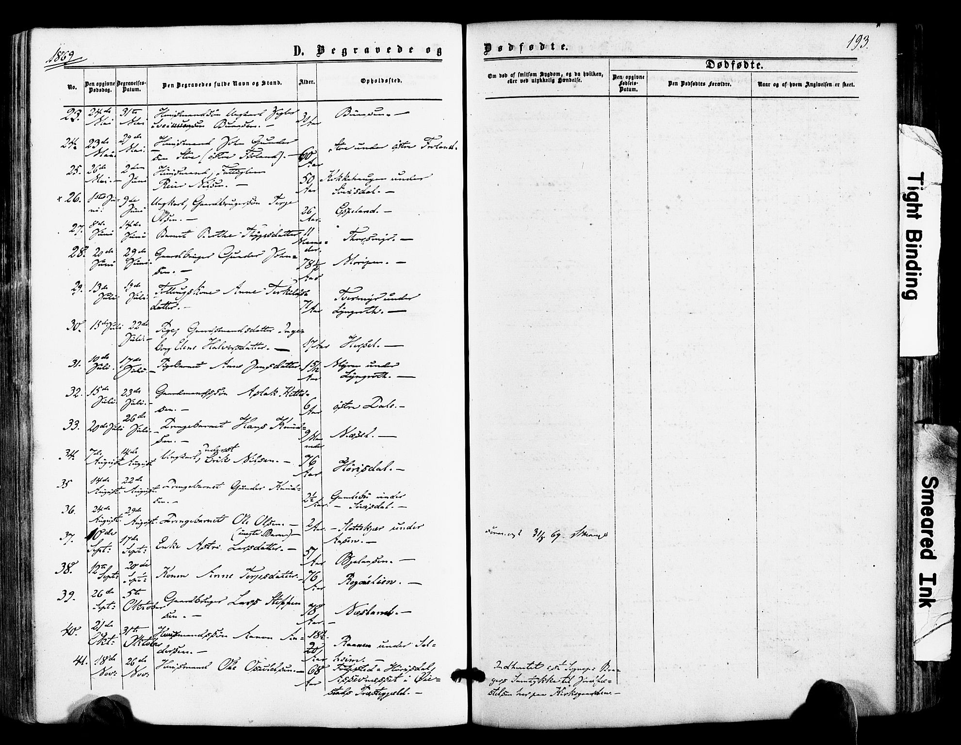 Froland sokneprestkontor, AV/SAK-1111-0013/F/Fa/L0003: Parish register (official) no. A 3, 1864-1881, p. 193