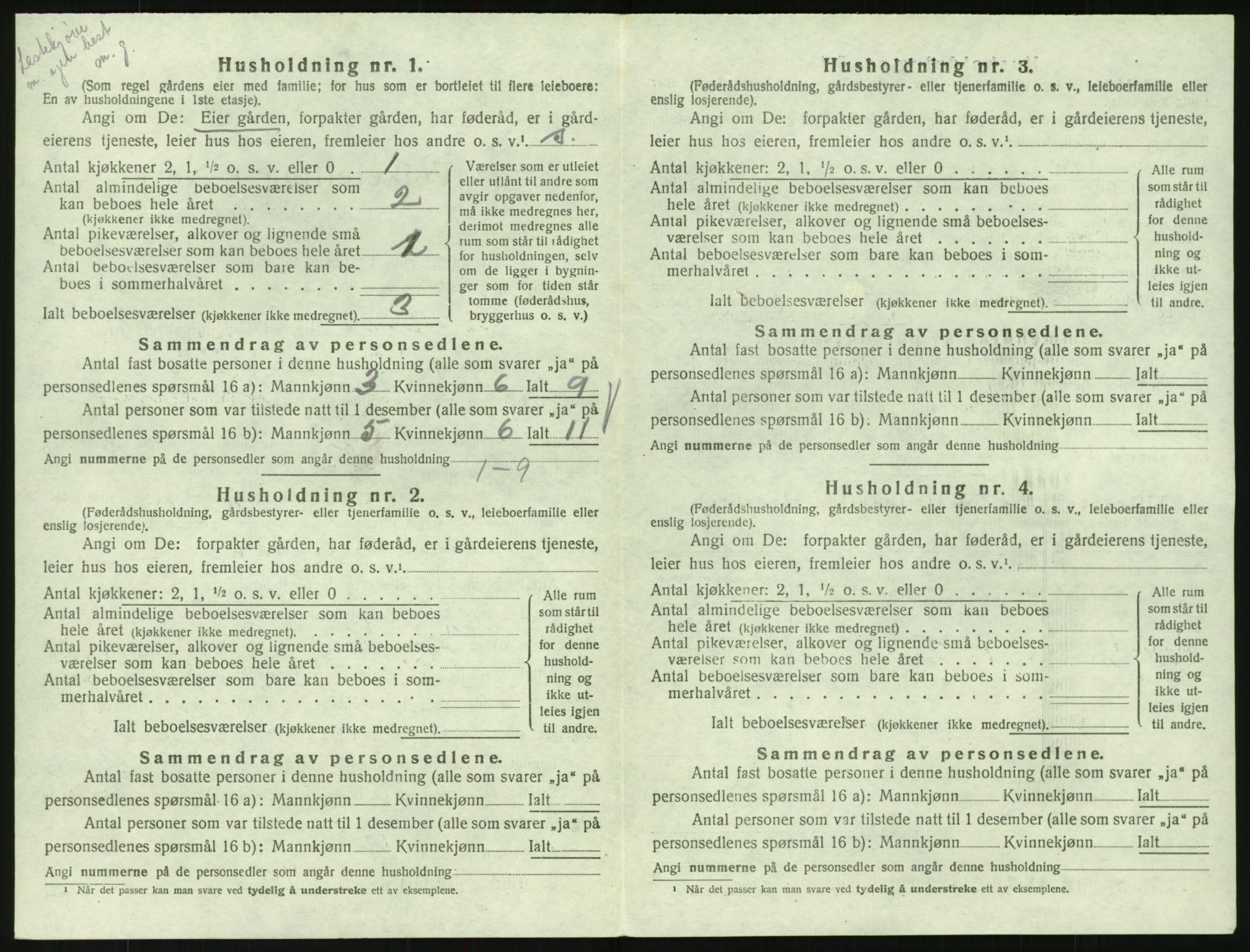 SAK, 1920 census for Hornnes, 1920, p. 518