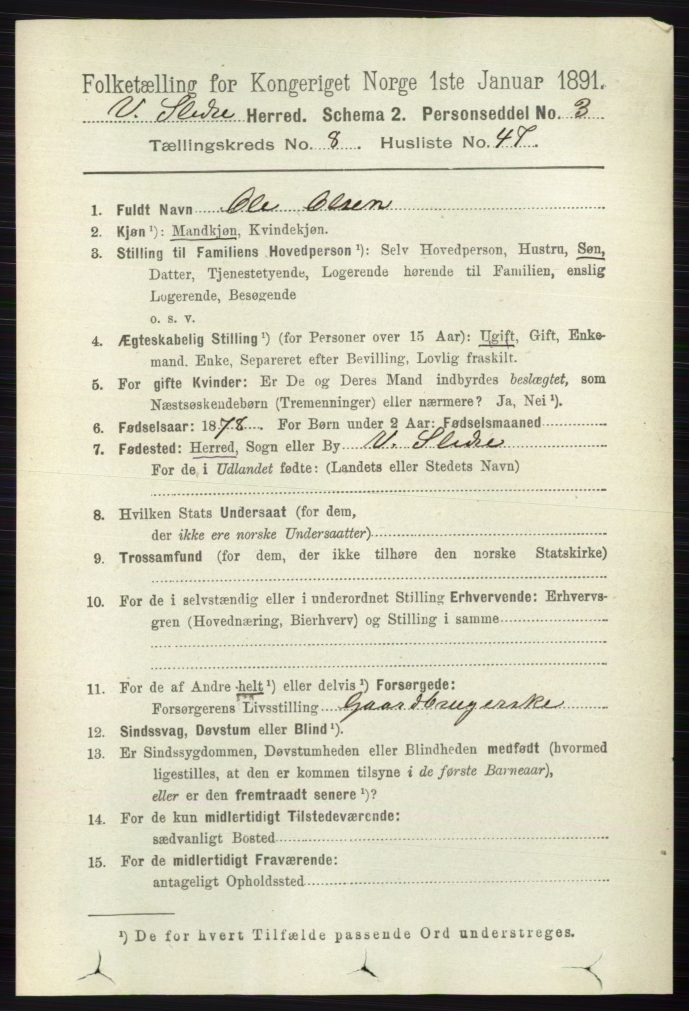 RA, 1891 census for 0543 Vestre Slidre, 1891, p. 3239