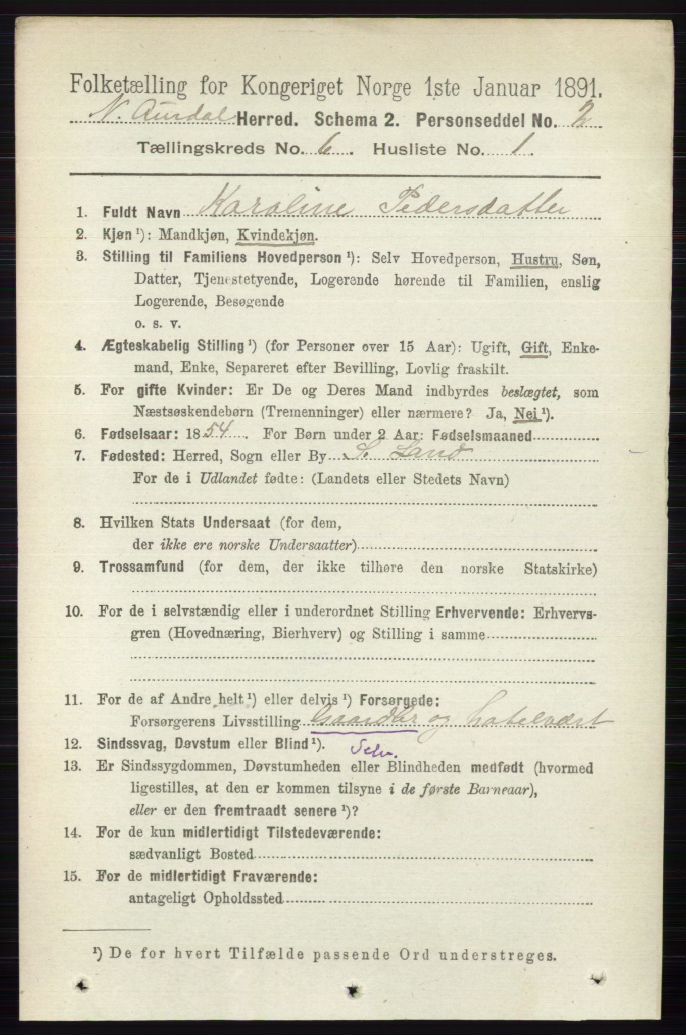 RA, 1891 census for 0542 Nord-Aurdal, 1891, p. 2087