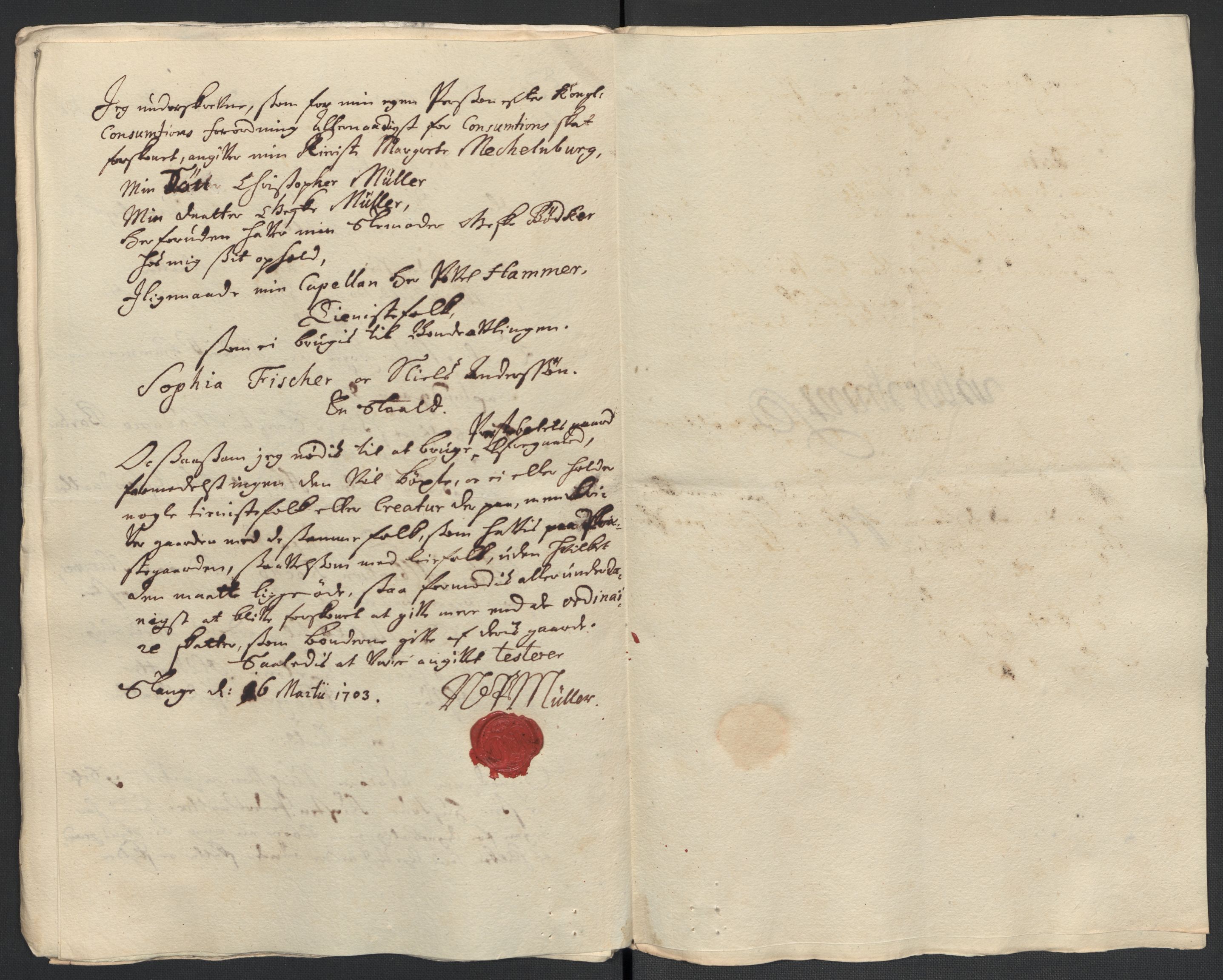 Rentekammeret inntil 1814, Reviderte regnskaper, Fogderegnskap, AV/RA-EA-4092/R16/L1041: Fogderegnskap Hedmark, 1703-1704, p. 118