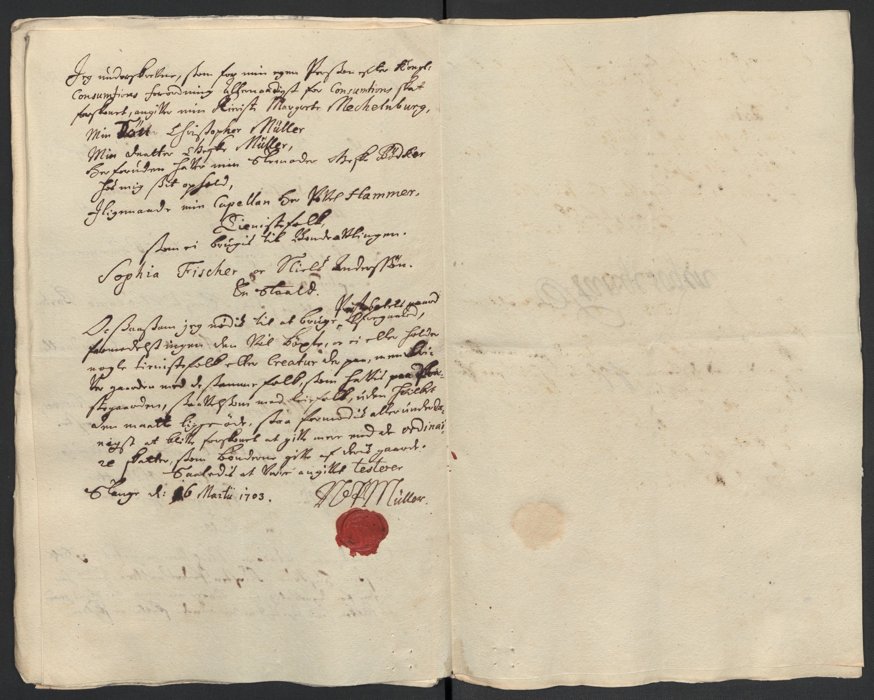 Rentekammeret inntil 1814, Reviderte regnskaper, Fogderegnskap, RA/EA-4092/R16/L1041: Fogderegnskap Hedmark, 1703-1704, p. 118