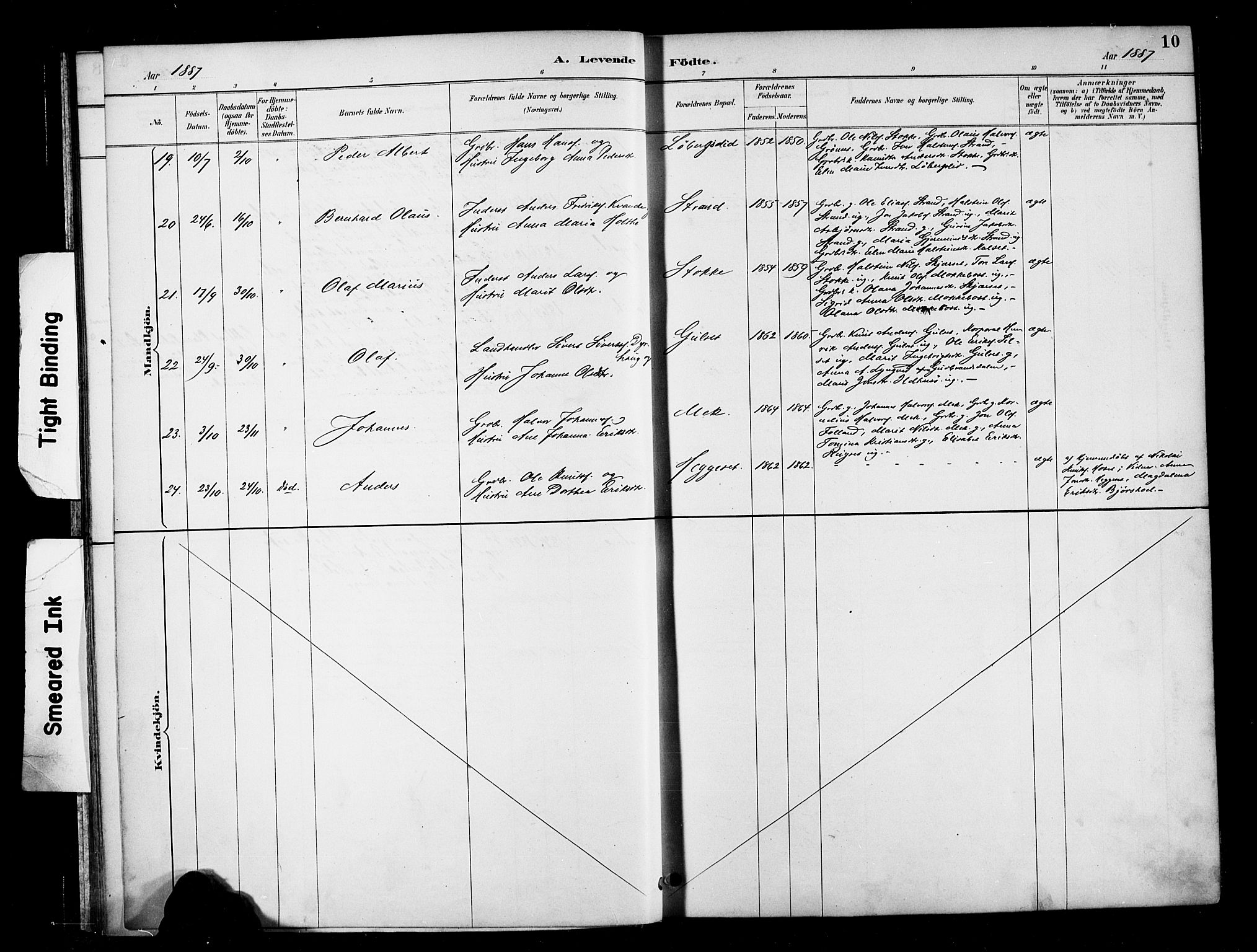 Ministerialprotokoller, klokkerbøker og fødselsregistre - Møre og Romsdal, AV/SAT-A-1454/568/L0809: Parish register (official) no. 568A13, 1884-1900, p. 10