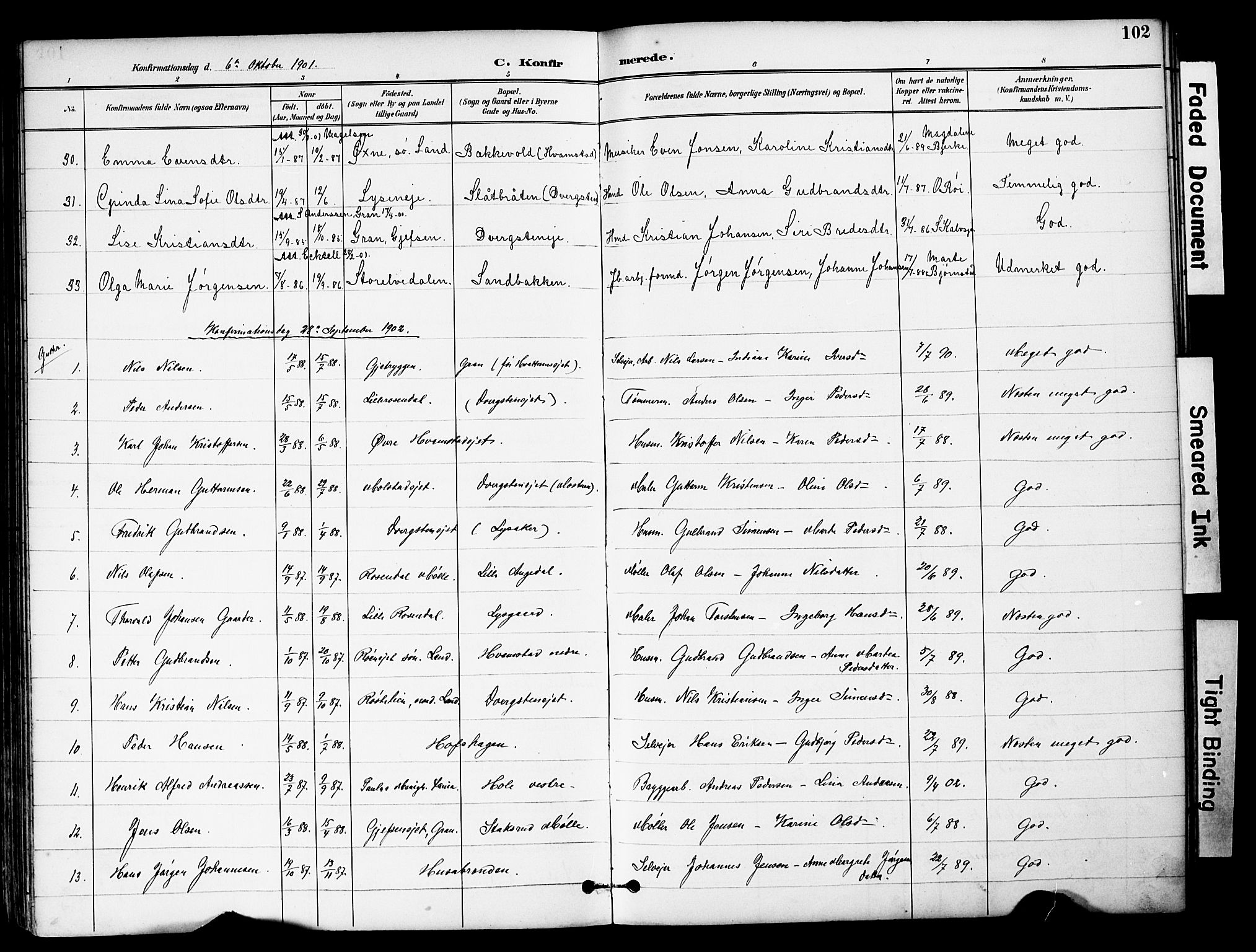Brandbu prestekontor, SAH/PREST-114/H/Ha/Hab/L0006: Parish register (copy) no. 6, 1893-1902, p. 102