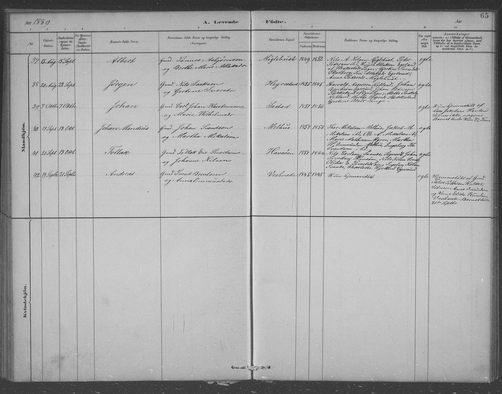 Eigersund sokneprestkontor, AV/SAST-A-101807/S09/L0007: Parish register (copy) no. B 7, 1882-1892, p. 65