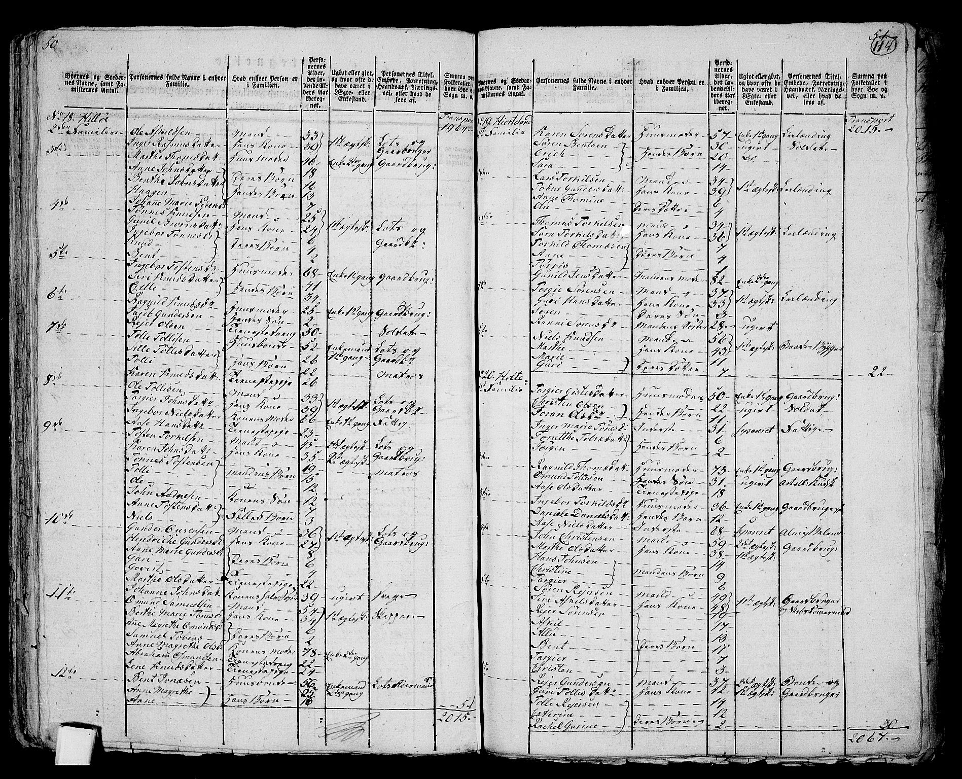 RA, 1801 census for 1019P Mandal, 1801, p. 113b-114a