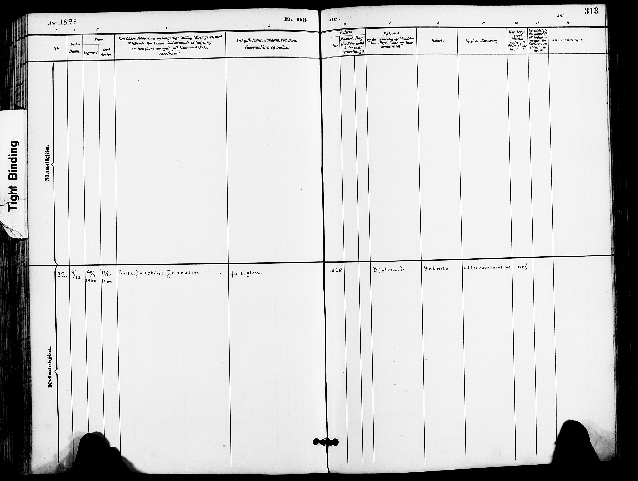 Karlsøy sokneprestembete, AV/SATØ-S-1299/H/Ha/Haa/L0007kirke: Parish register (official) no. 7, 1891-1902, p. 313