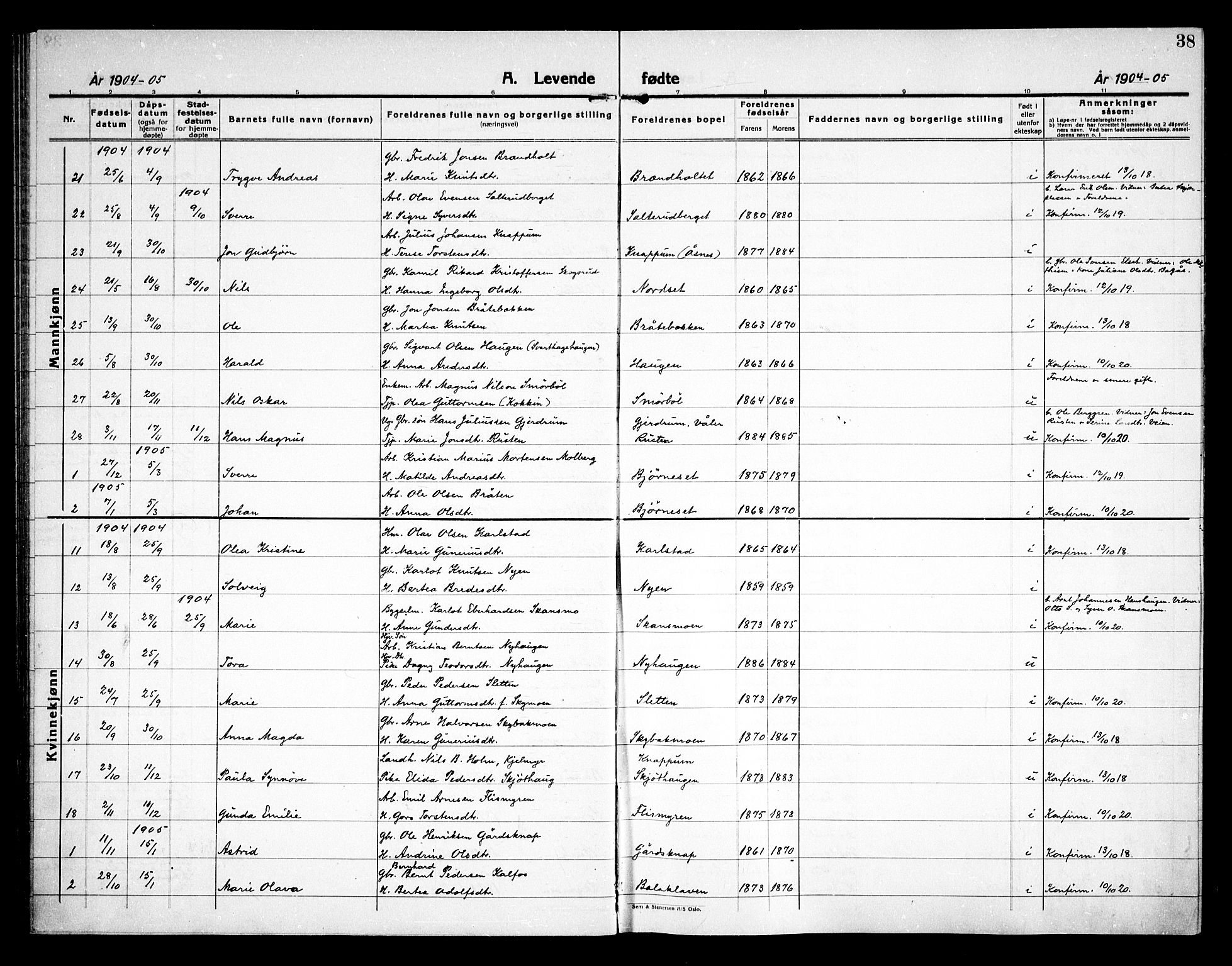 Åsnes prestekontor, AV/SAH-PREST-042/H/Ha/Haa/L0000D: Parish register (official) no. 0B, 1890-1929, p. 38