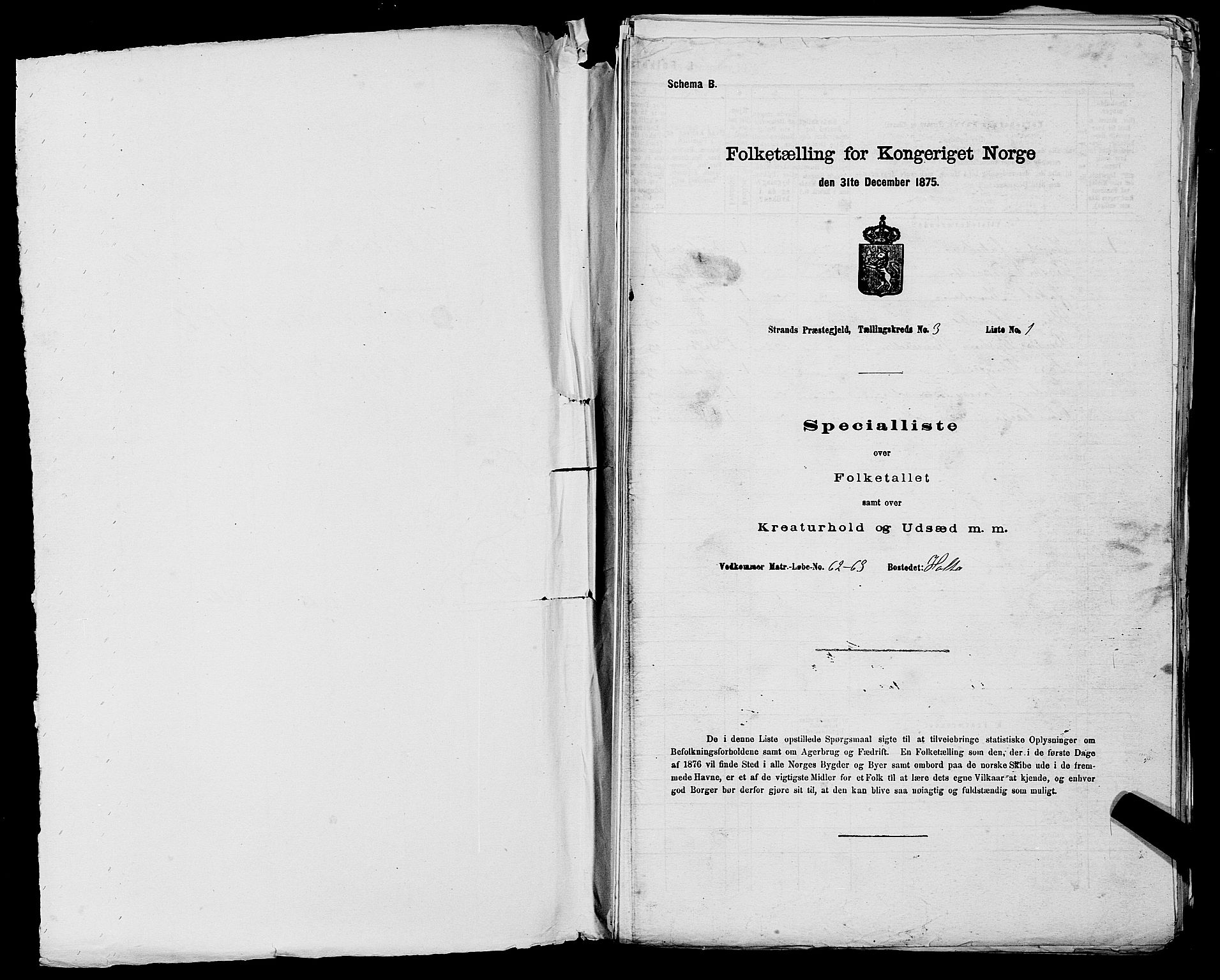 SAST, 1875 census for 1130P Strand, 1875, p. 246