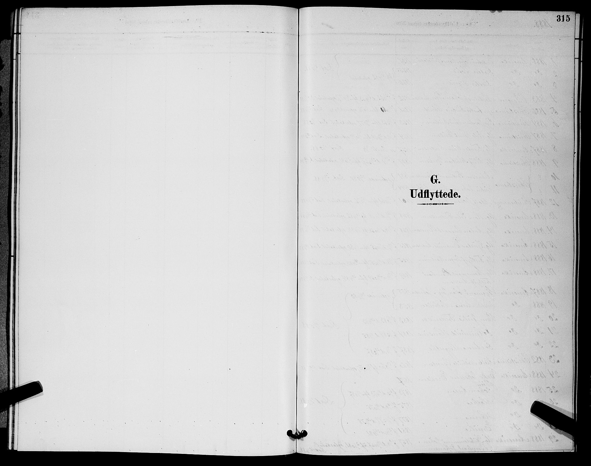 Horten kirkebøker, SAKO/A-348/G/Ga/L0005: Parish register (copy) no. 5, 1888-1895, p. 315
