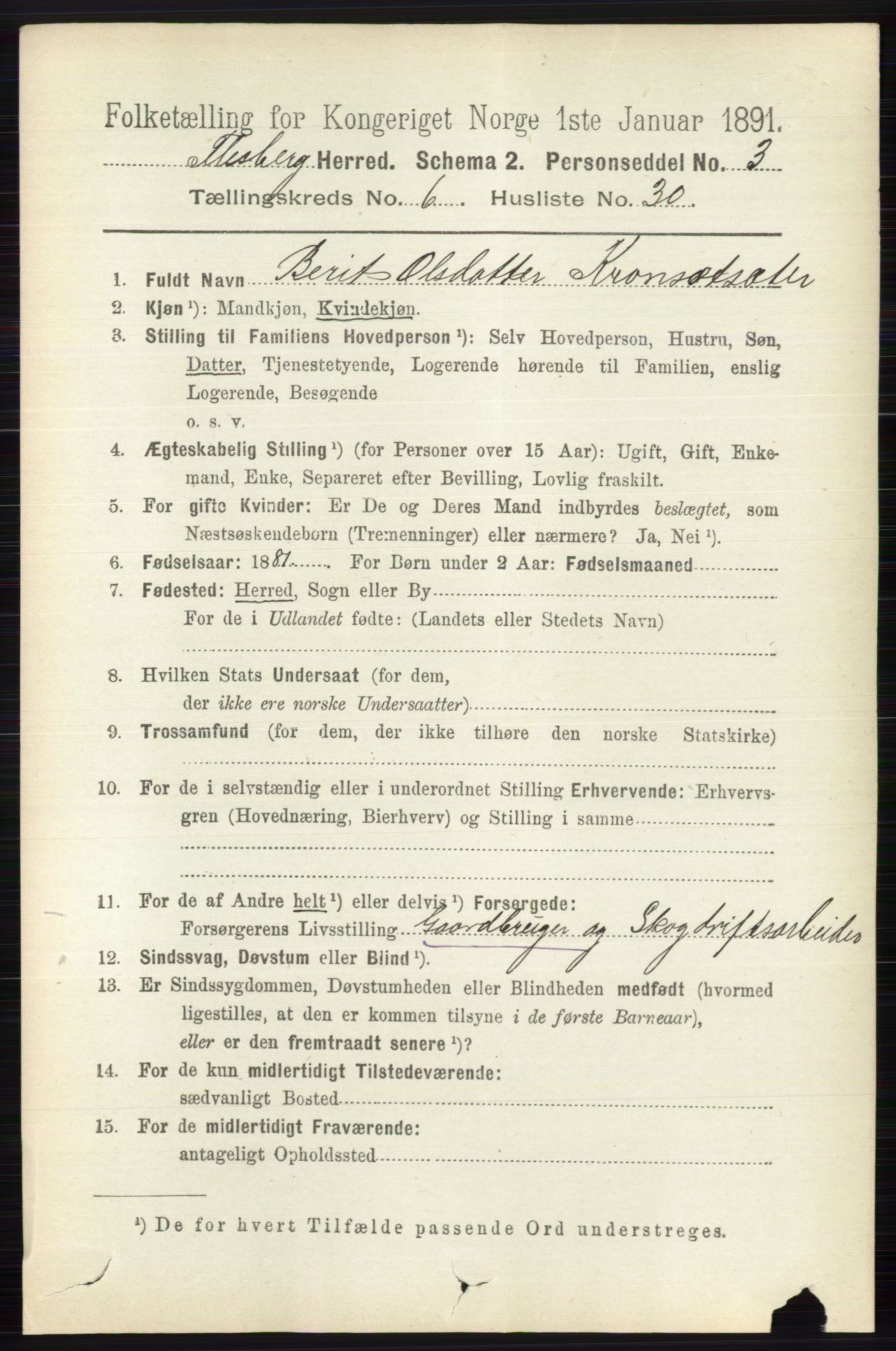 RA, 1891 census for 0631 Flesberg, 1891, p. 1127