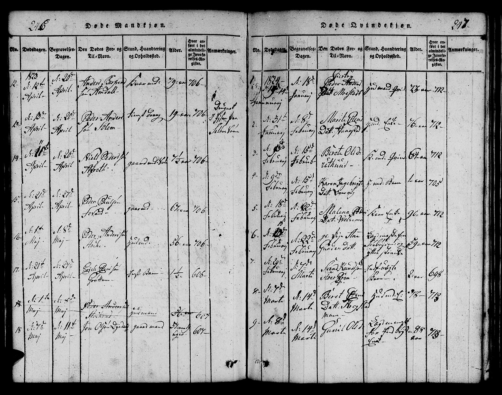 Ministerialprotokoller, klokkerbøker og fødselsregistre - Sør-Trøndelag, SAT/A-1456/695/L1152: Parish register (copy) no. 695C03, 1816-1831, p. 246-247