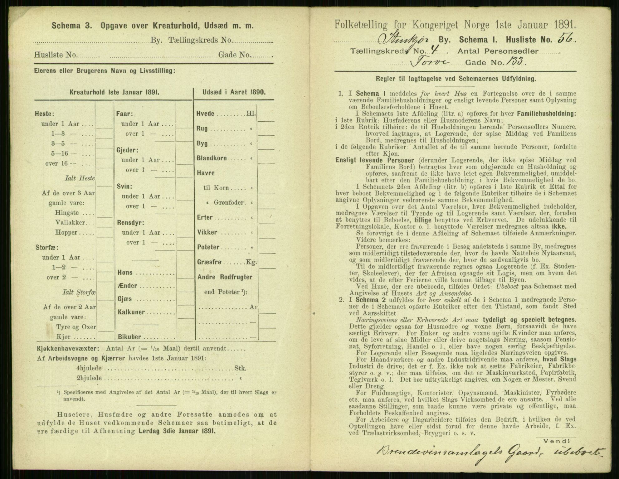 RA, 1891 census for 1702 Steinkjer, 1891, p. 1259