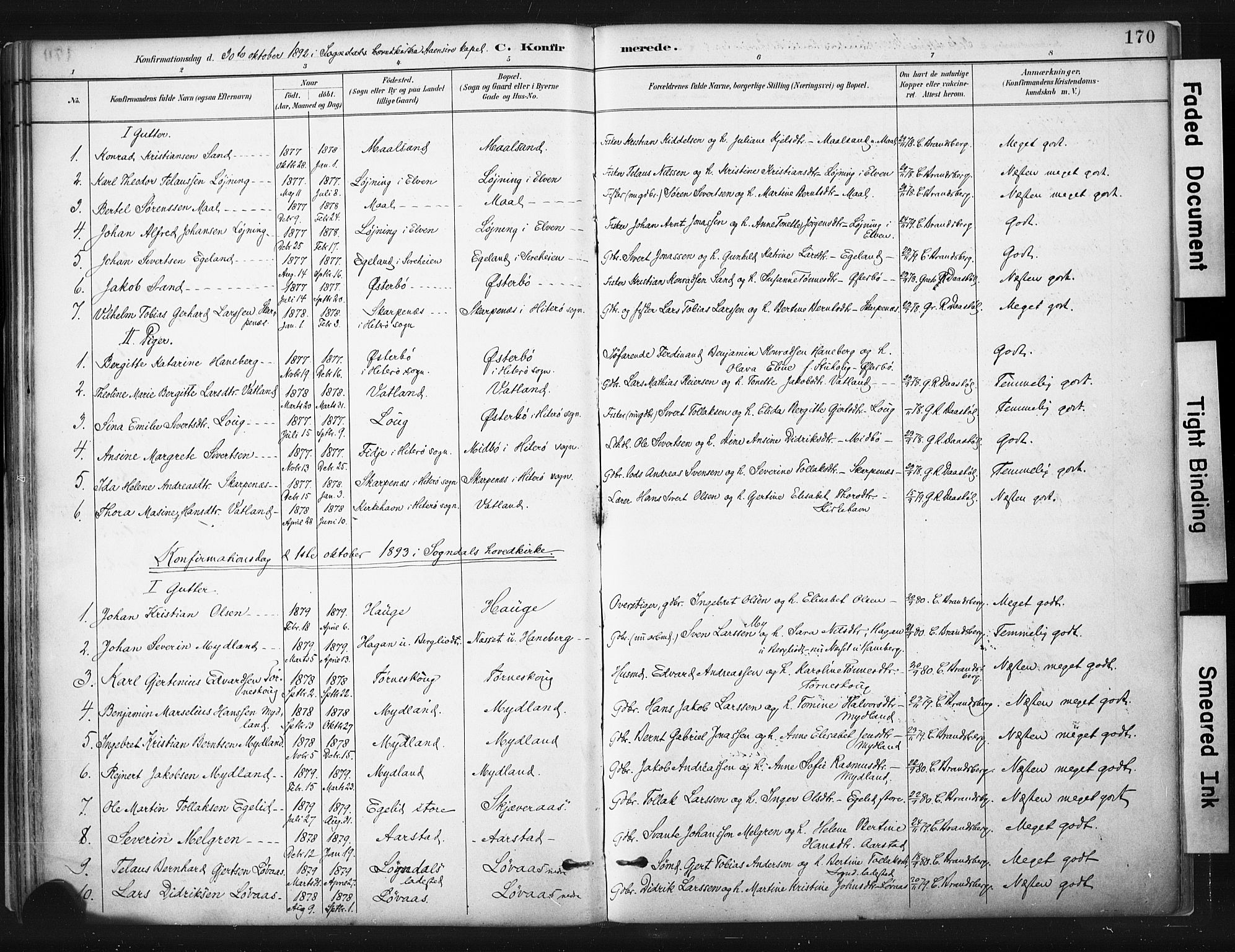 Sokndal sokneprestkontor, SAST/A-101808: Parish register (official) no. A 11.1, 1887-1905, p. 170