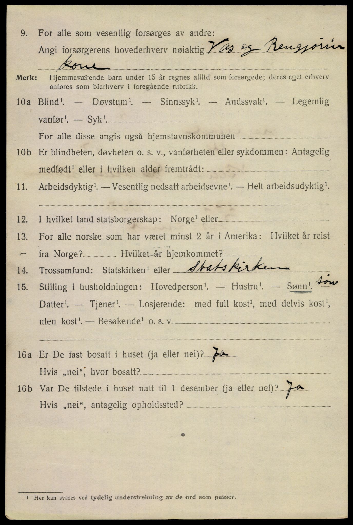 SAKO, 1920 census for Porsgrunn, 1920, p. 21536