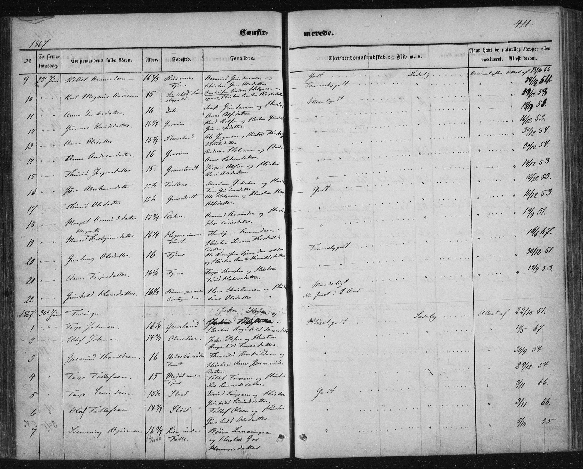 Nissedal kirkebøker, SAKO/A-288/F/Fa/L0003: Parish register (official) no. I 3, 1846-1870, p. 410-411