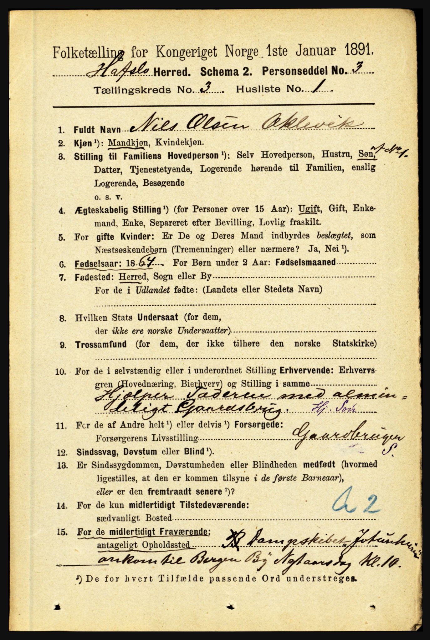 RA, 1891 census for 1425 Hafslo, 1891, p. 984