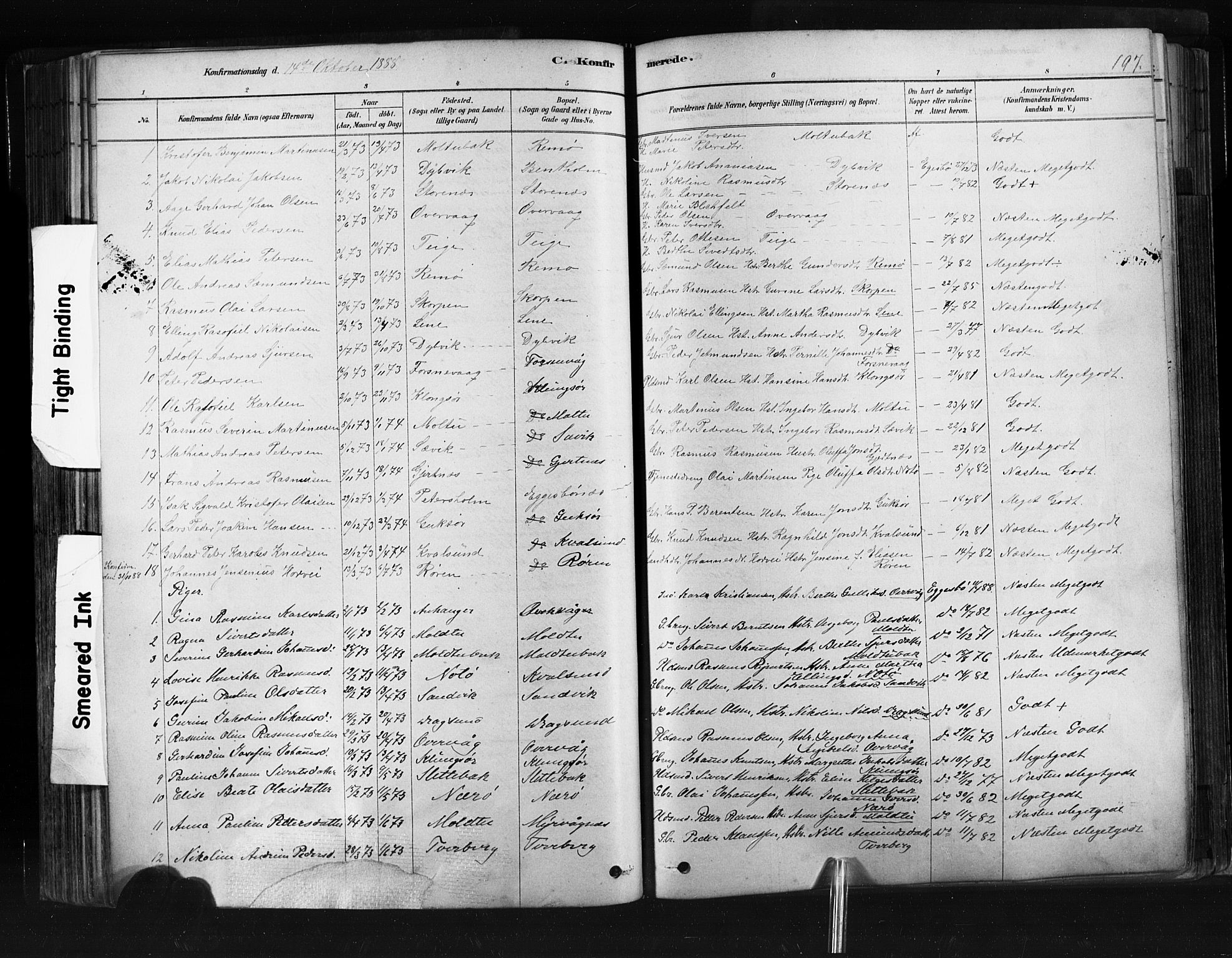 Ministerialprotokoller, klokkerbøker og fødselsregistre - Møre og Romsdal, SAT/A-1454/507/L0073: Parish register (official) no. 507A08, 1878-1904, p. 197