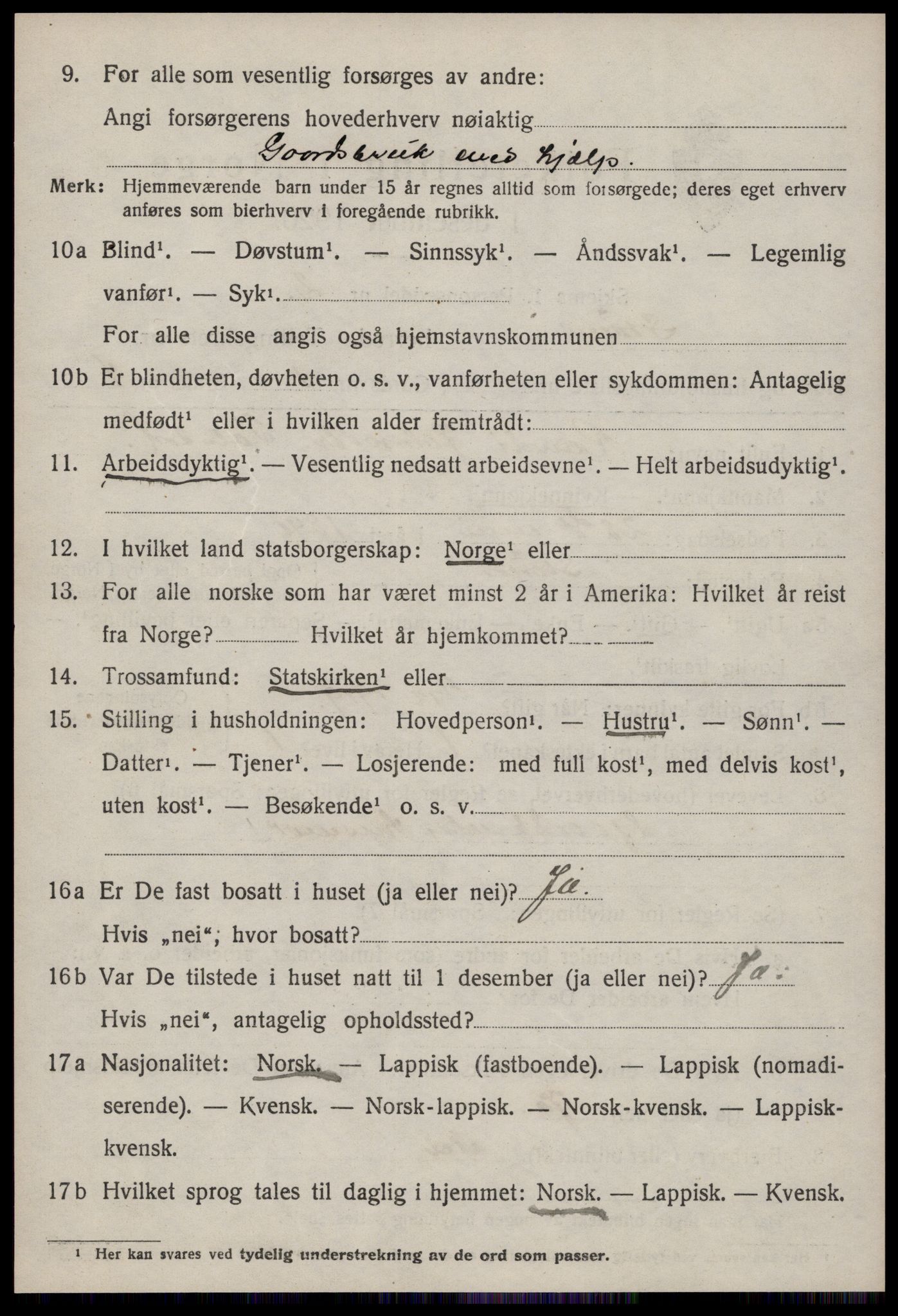 SAT, 1920 census for Støren, 1920, p. 1393