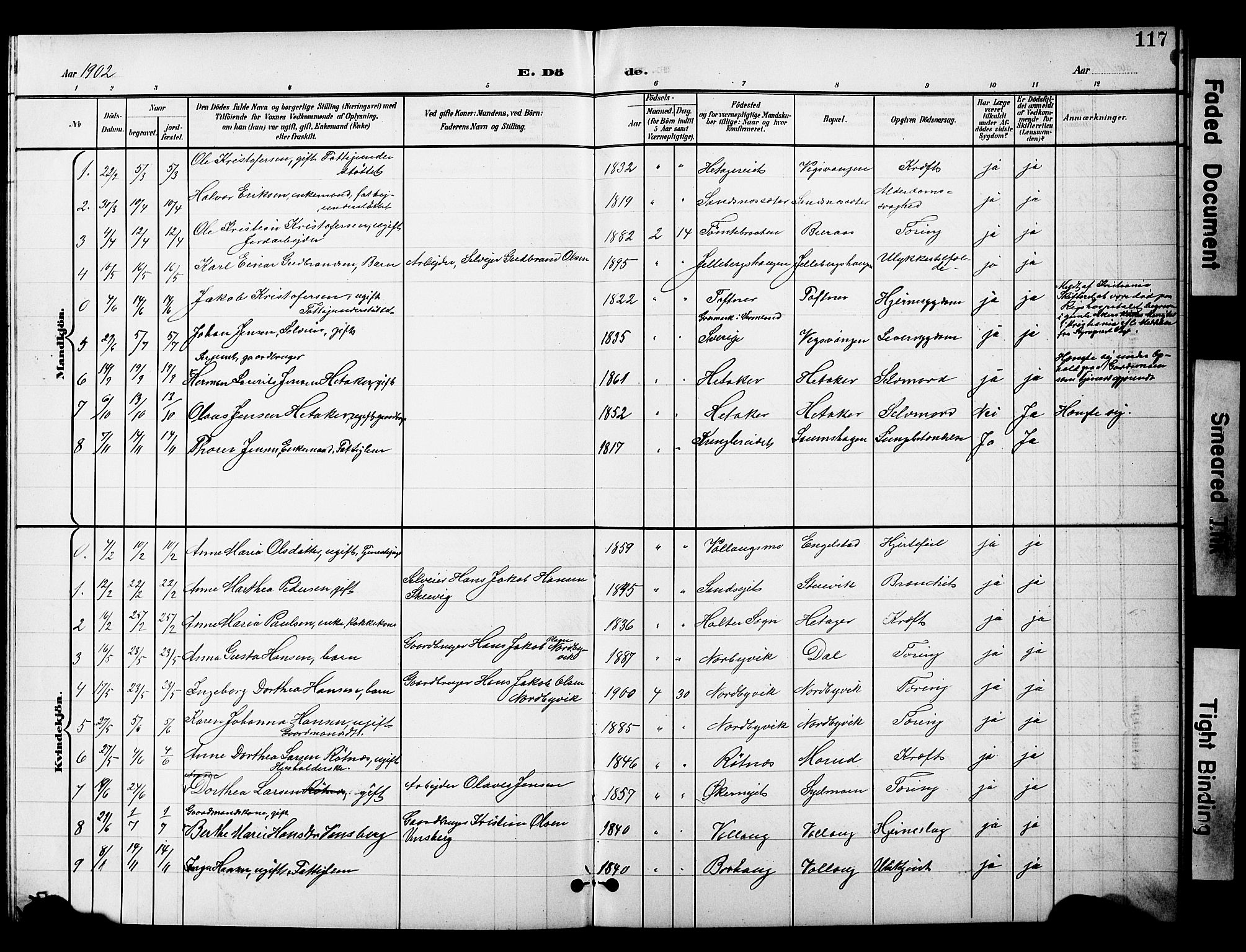 Nannestad prestekontor Kirkebøker, SAO/A-10414a/G/Gc/L0001: Parish register (copy) no. III 1, 1901-1916, p. 117