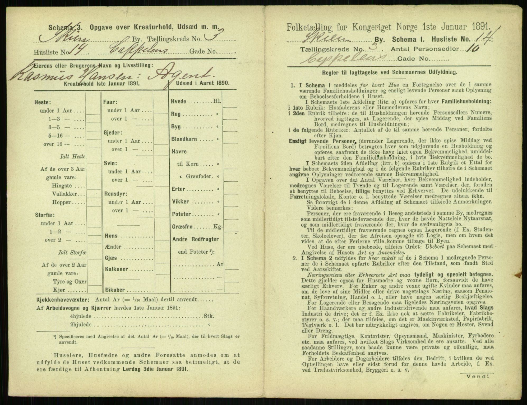 RA, 1891 census for 0806 Skien, 1891, p. 210