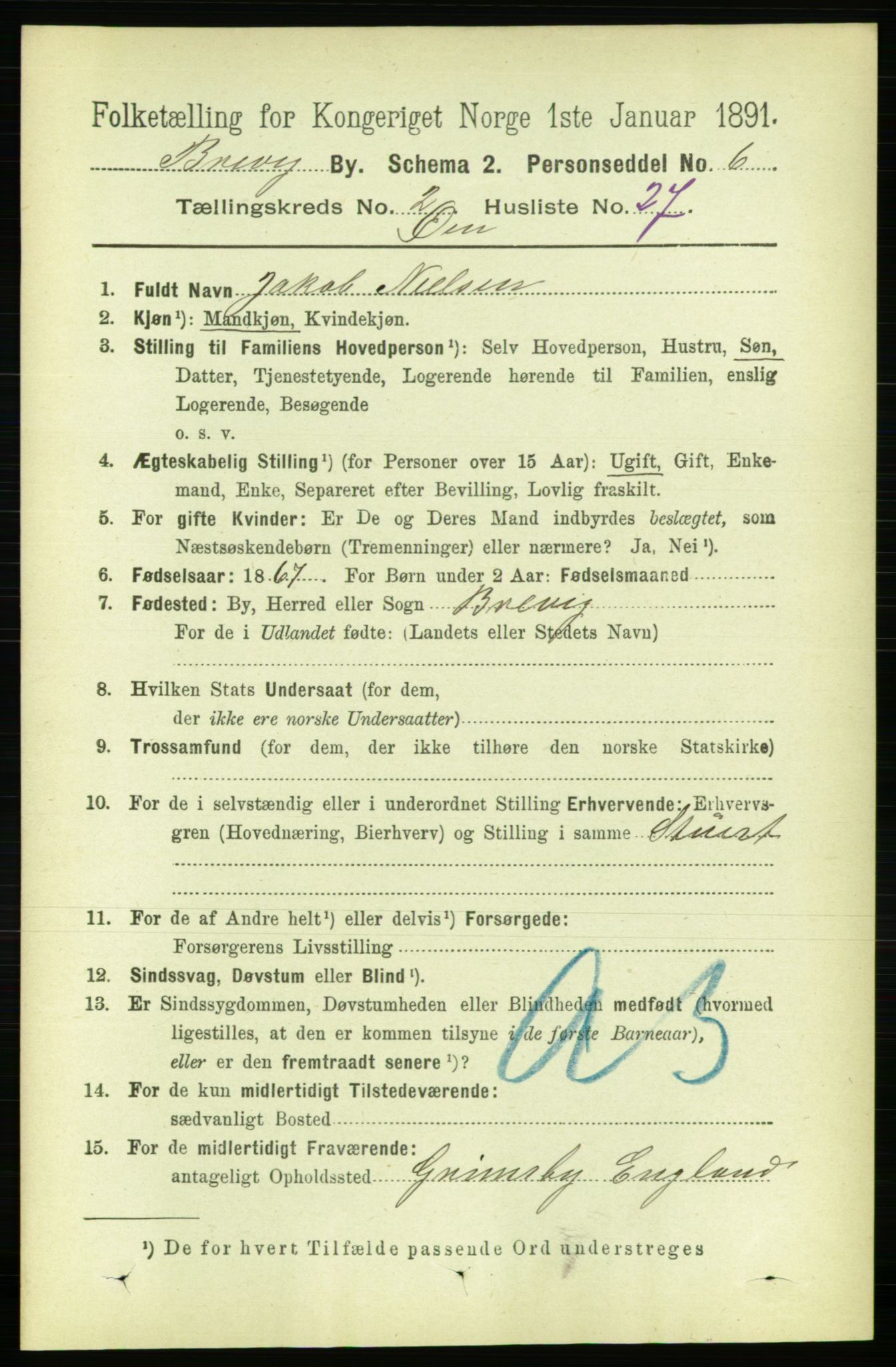 RA, 1891 census for 0804 Brevik, 1891, p. 1781