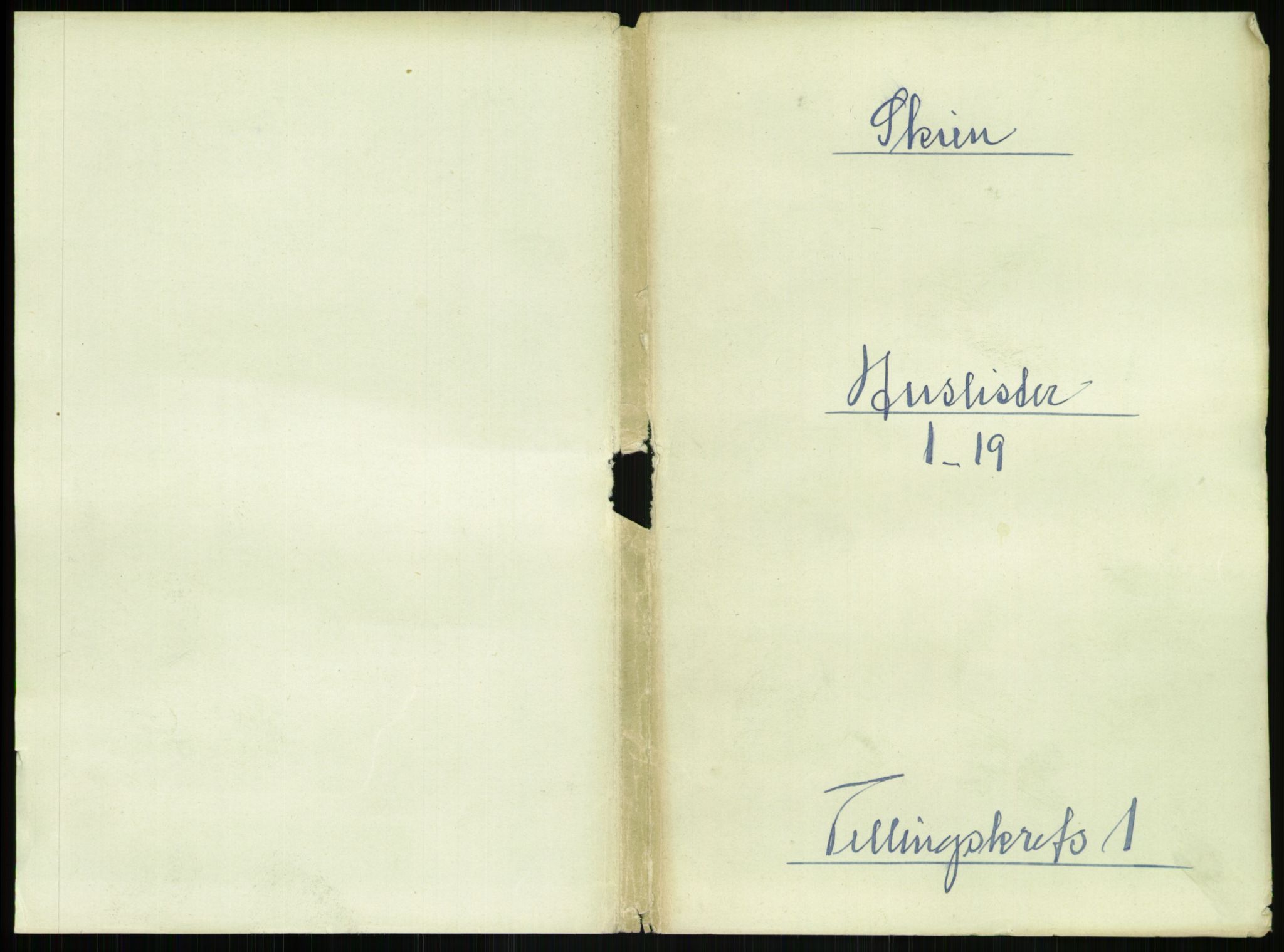 RA, 1891 census for 0806 Skien, 1891, p. 110