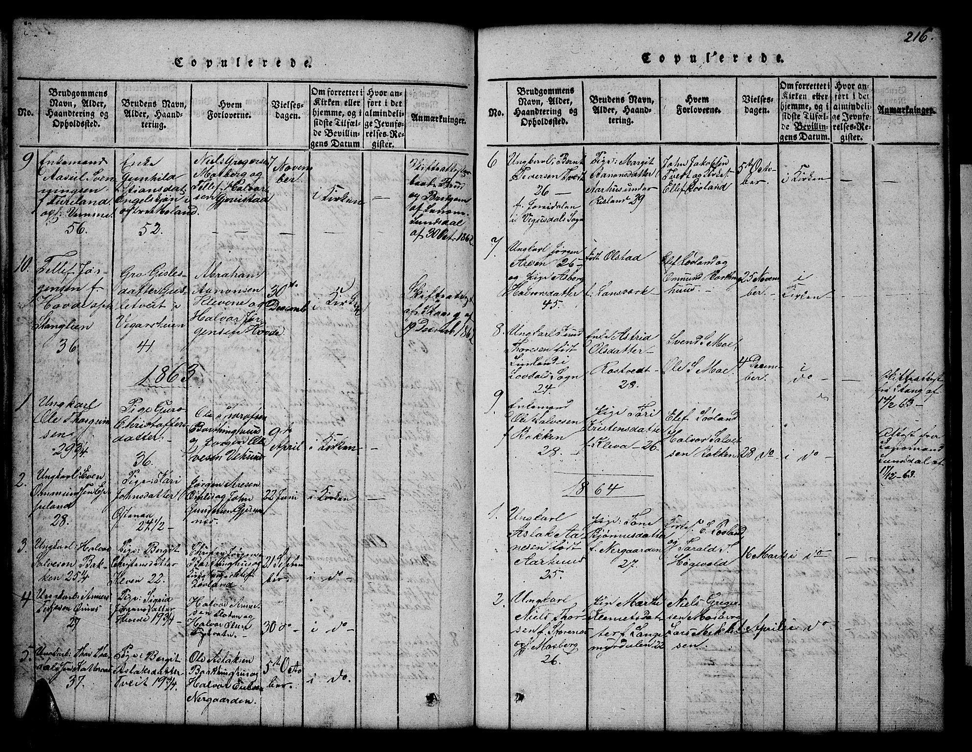 Åmli sokneprestkontor, AV/SAK-1111-0050/F/Fb/Fbc/L0001: Parish register (copy) no. B 1, 1816-1867, p. 216