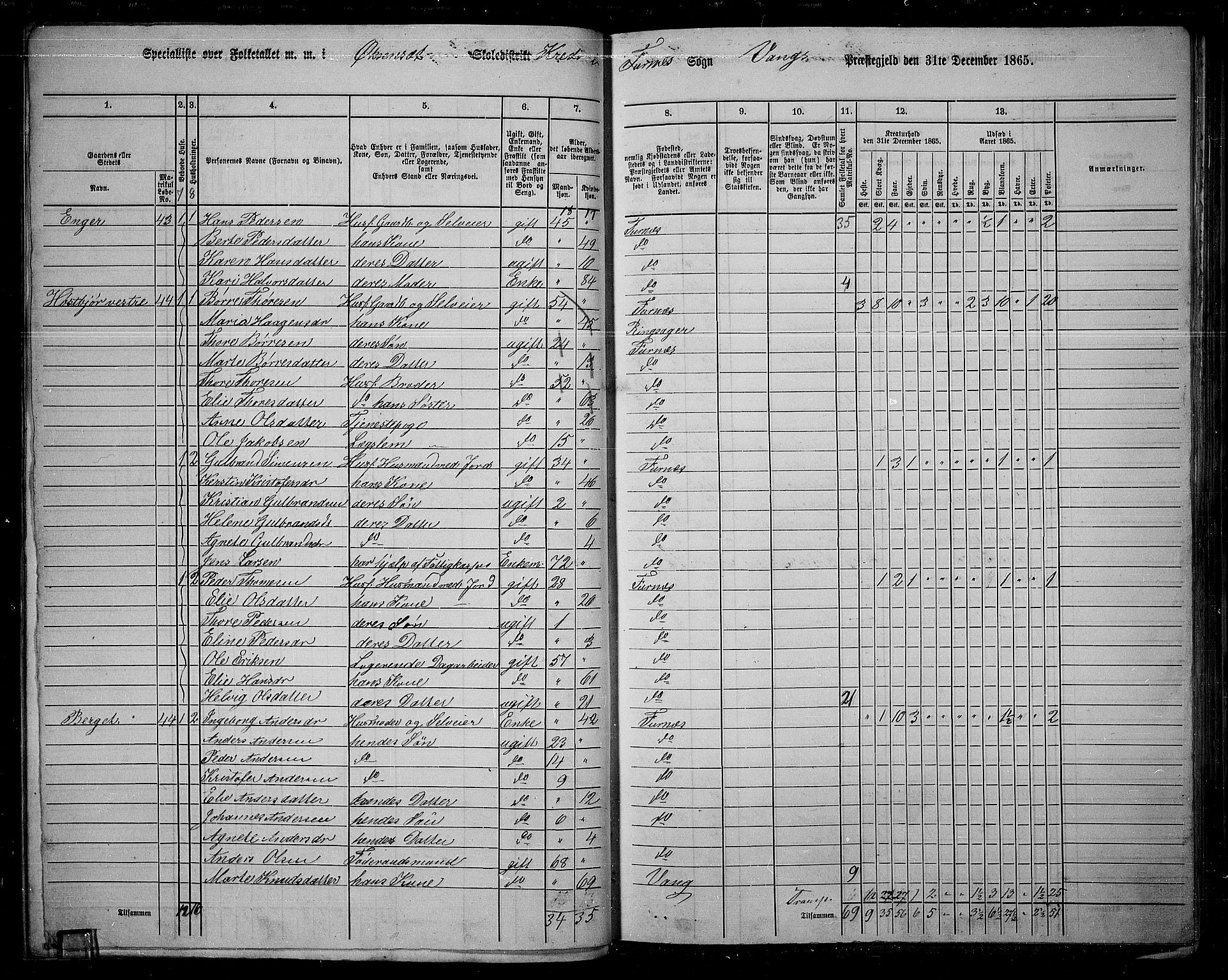 RA, 1865 census for Vang/Vang og Furnes, 1865, p. 49