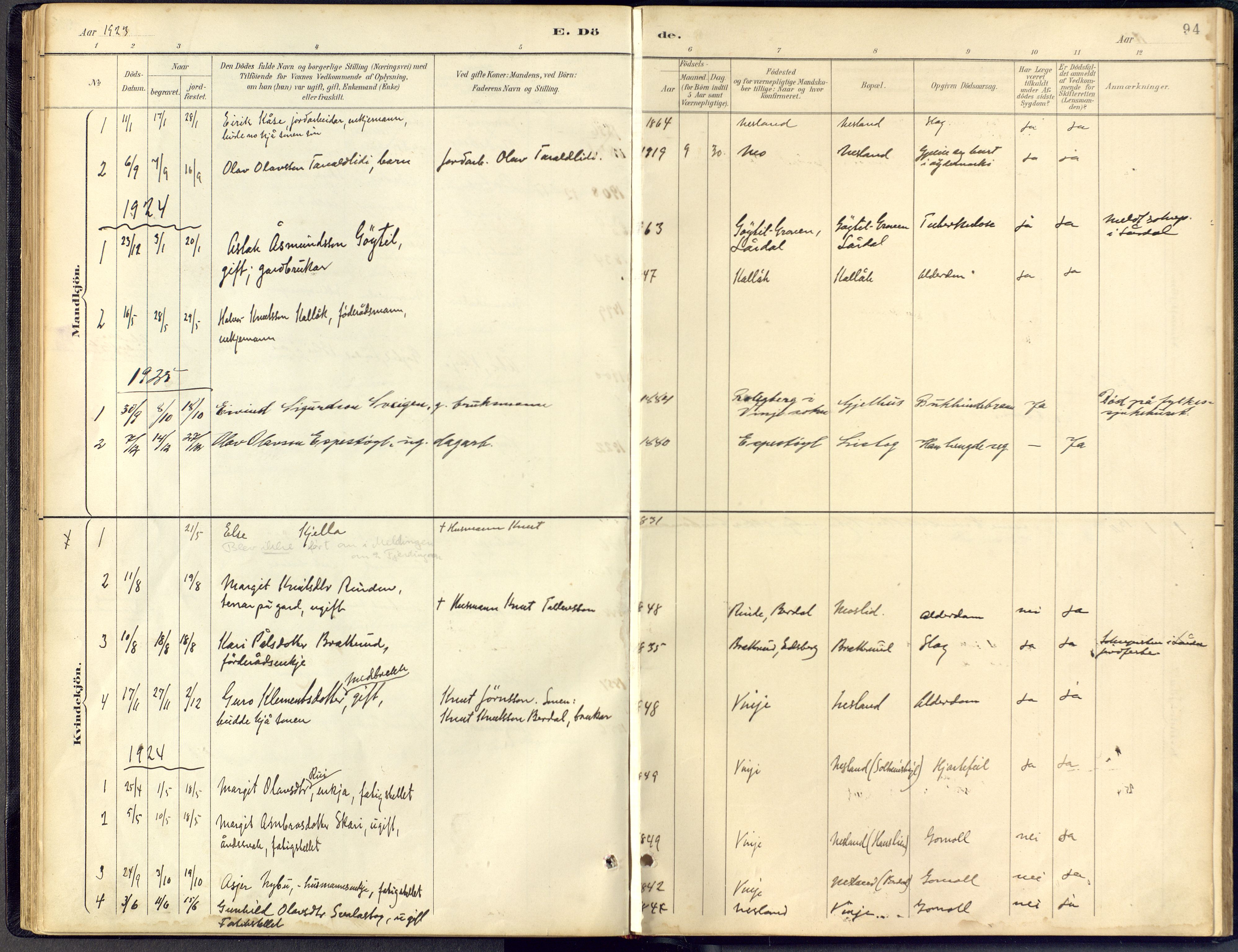 Vinje kirkebøker, AV/SAKO-A-312/F/Fb/L0002: Parish register (official) no. II 2, 1887-1925, p. 94