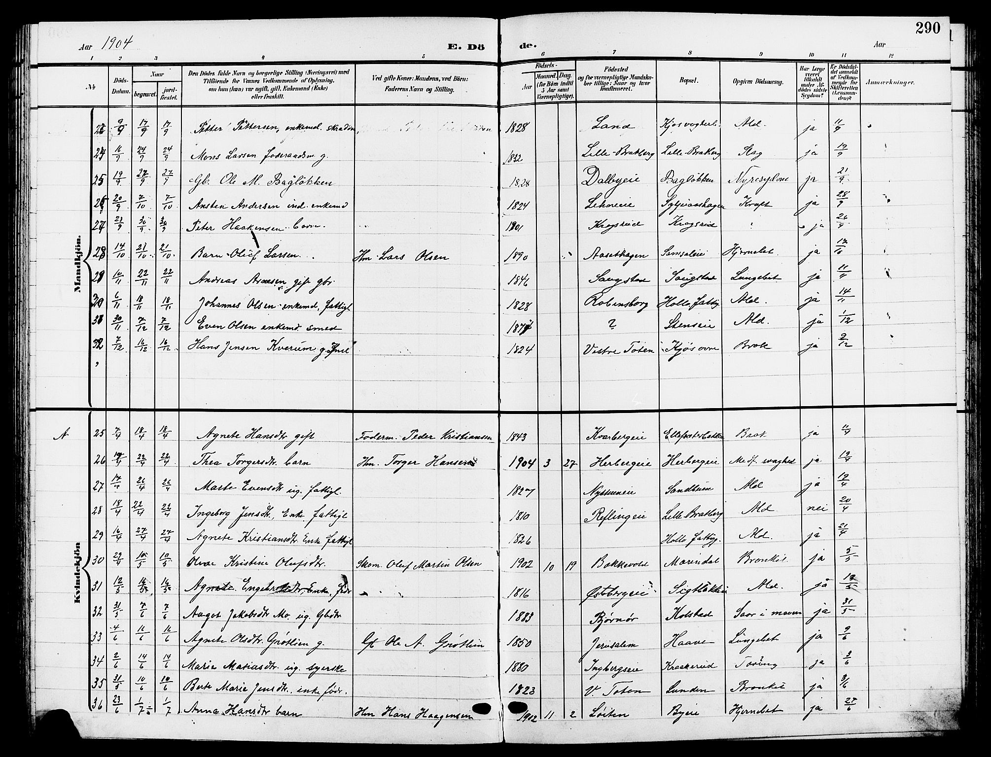 Ringsaker prestekontor, AV/SAH-PREST-014/L/La/L0015: Parish register (copy) no. 15, 1903-1912, p. 290