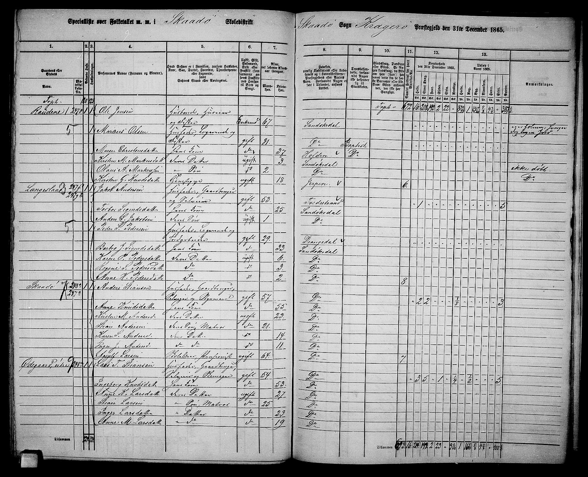 RA, 1865 census for Kragerø/Sannidal og Skåtøy, 1865, p. 205