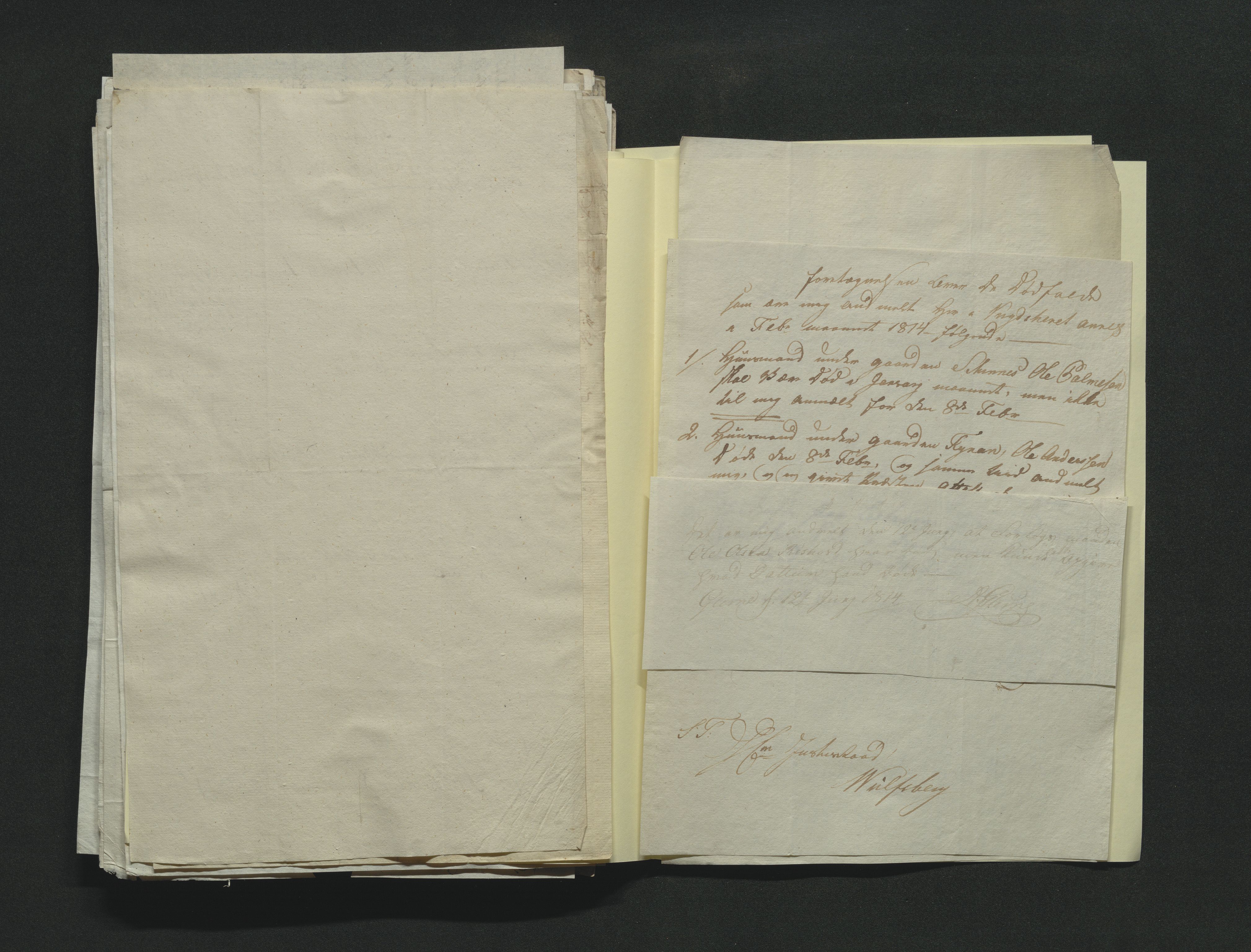 Eiker, Modum og Sigdal sorenskriveri, AV/SAKO-A-123/H/Ha/Hab/L0001: Dødsfallsmeldinger, 1812-1822, p. 120