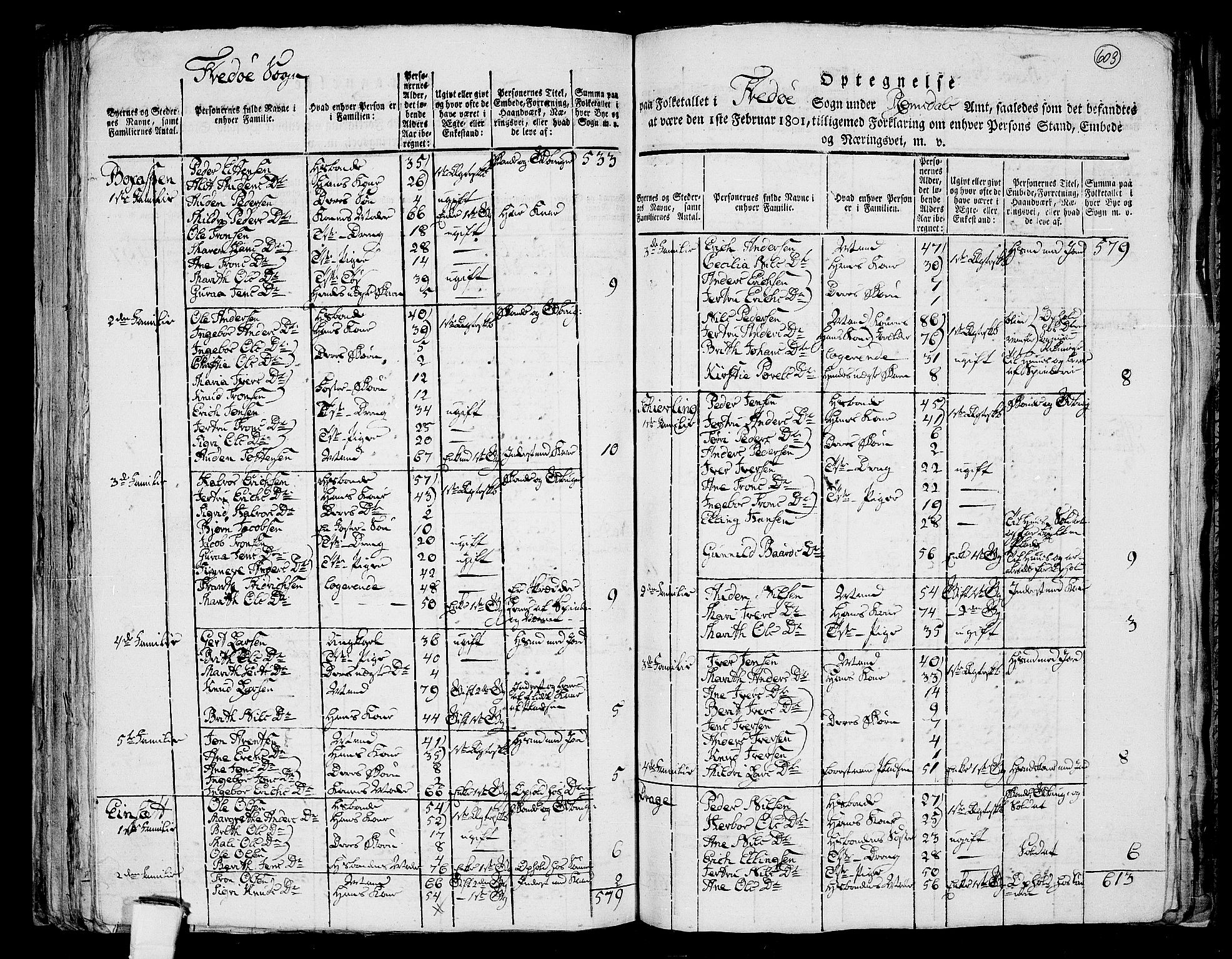 RA, 1801 census for 1560P Tingvoll, 1801, p. 602b-603a