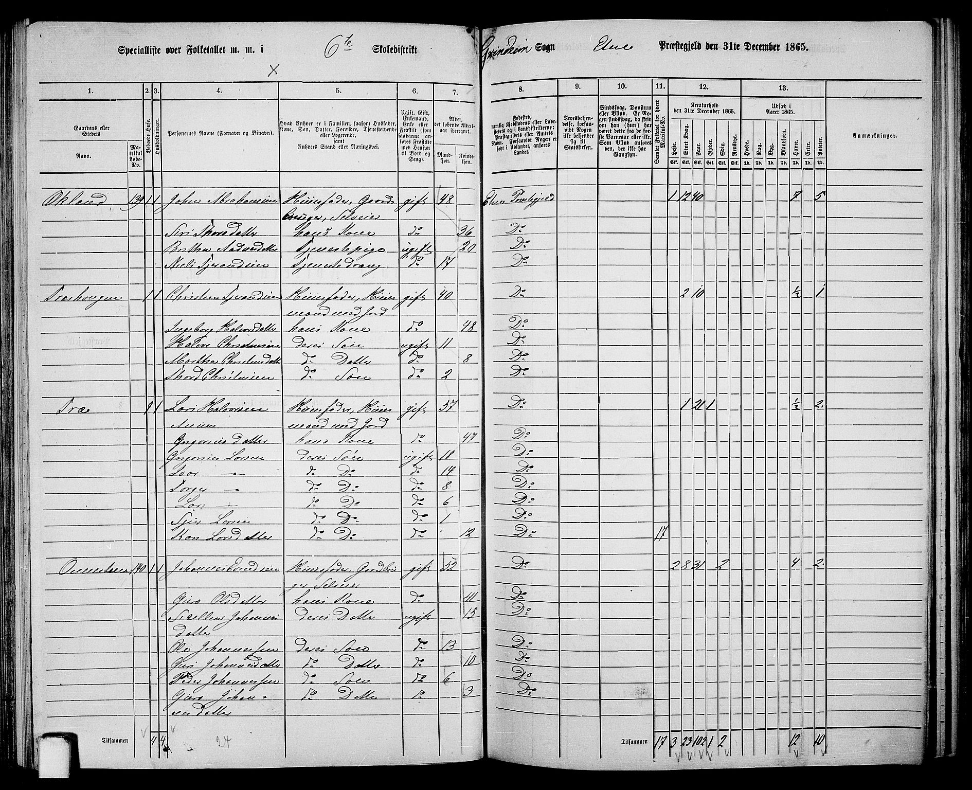 RA, 1865 census for Etne, 1865, p. 95