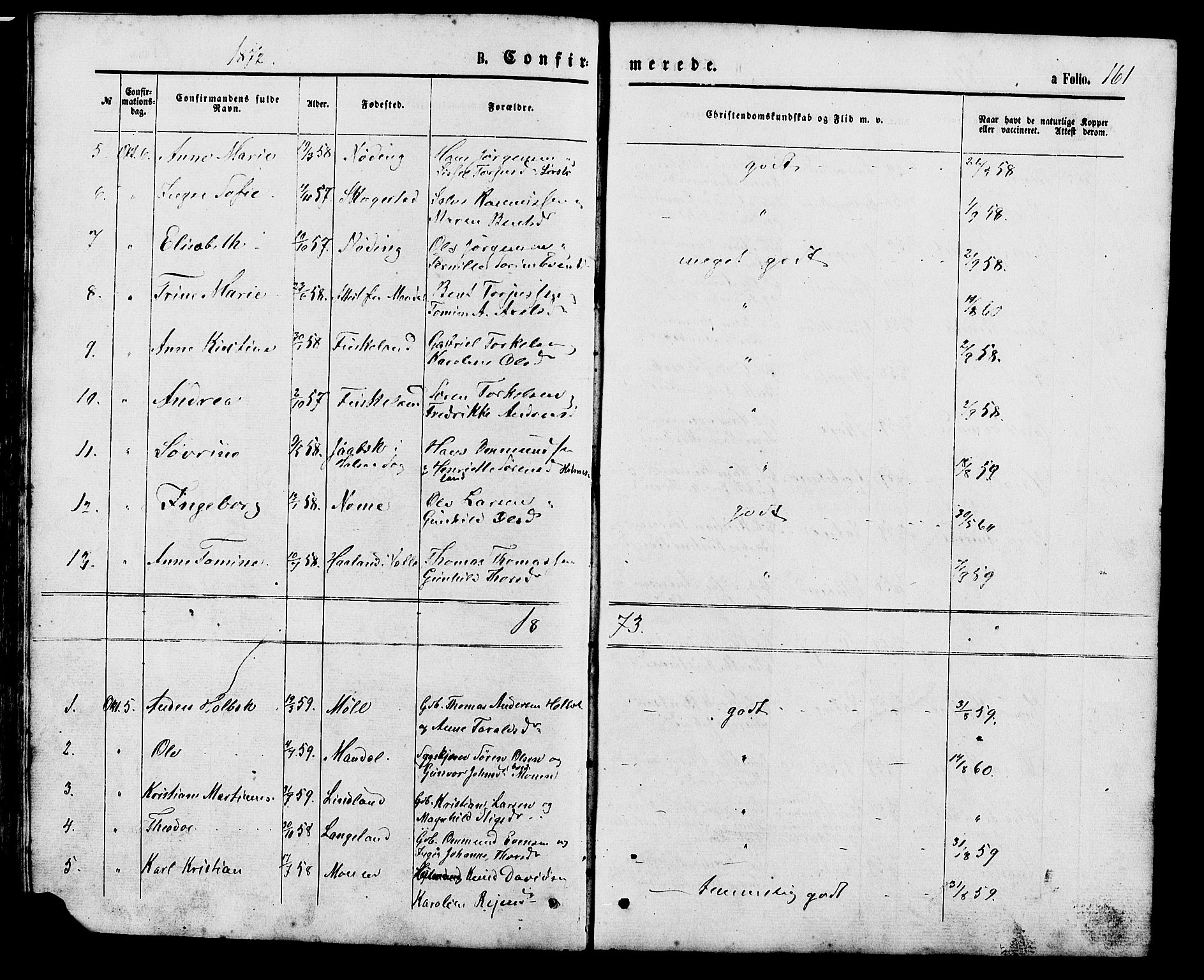 Holum sokneprestkontor, AV/SAK-1111-0022/F/Fb/Fba/L0004: Parish register (copy) no. B 4, 1867-1890, p. 161