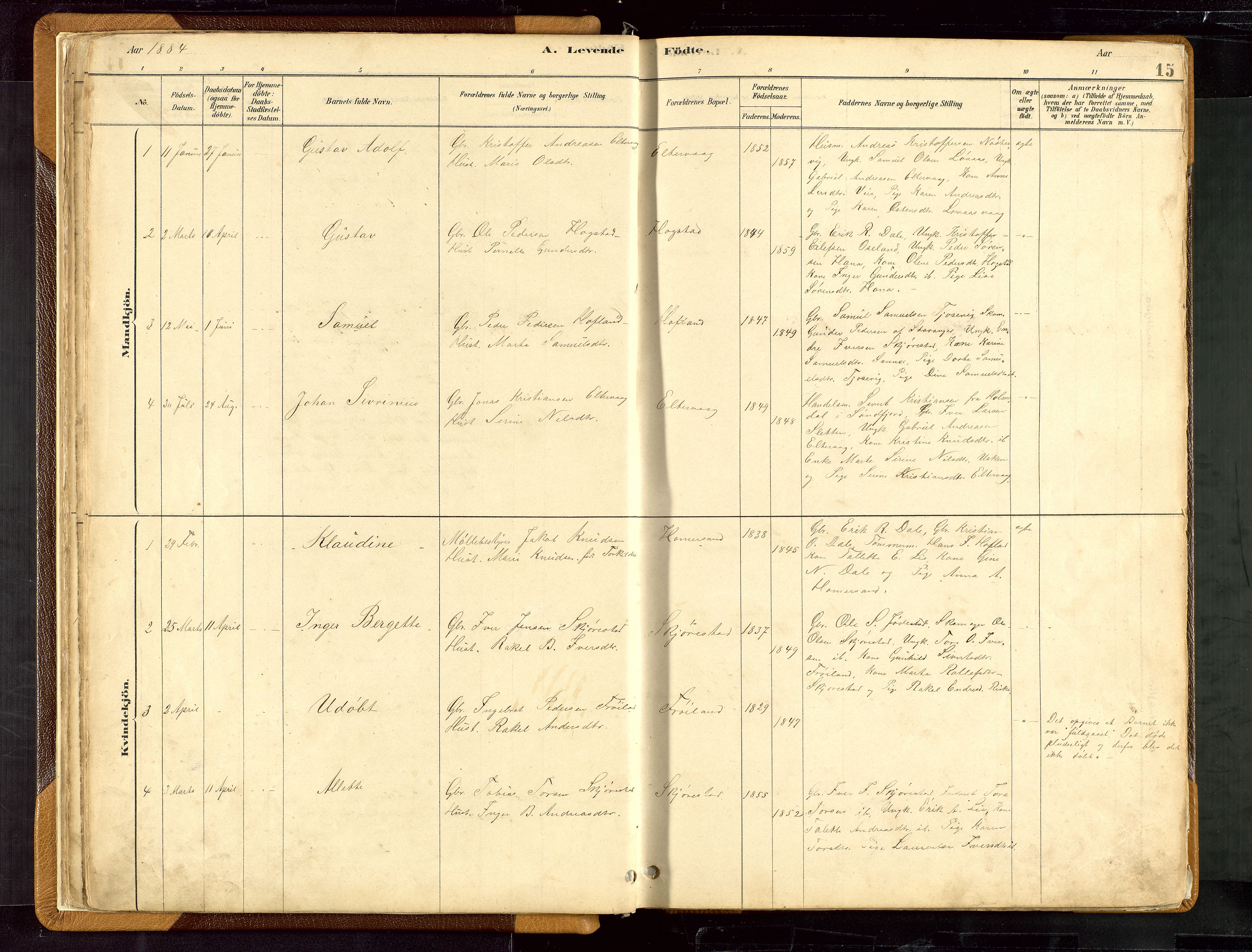 Hetland sokneprestkontor, AV/SAST-A-101826/30/30BB/L0007: Parish register (copy) no. B 7, 1878-1910, p. 15