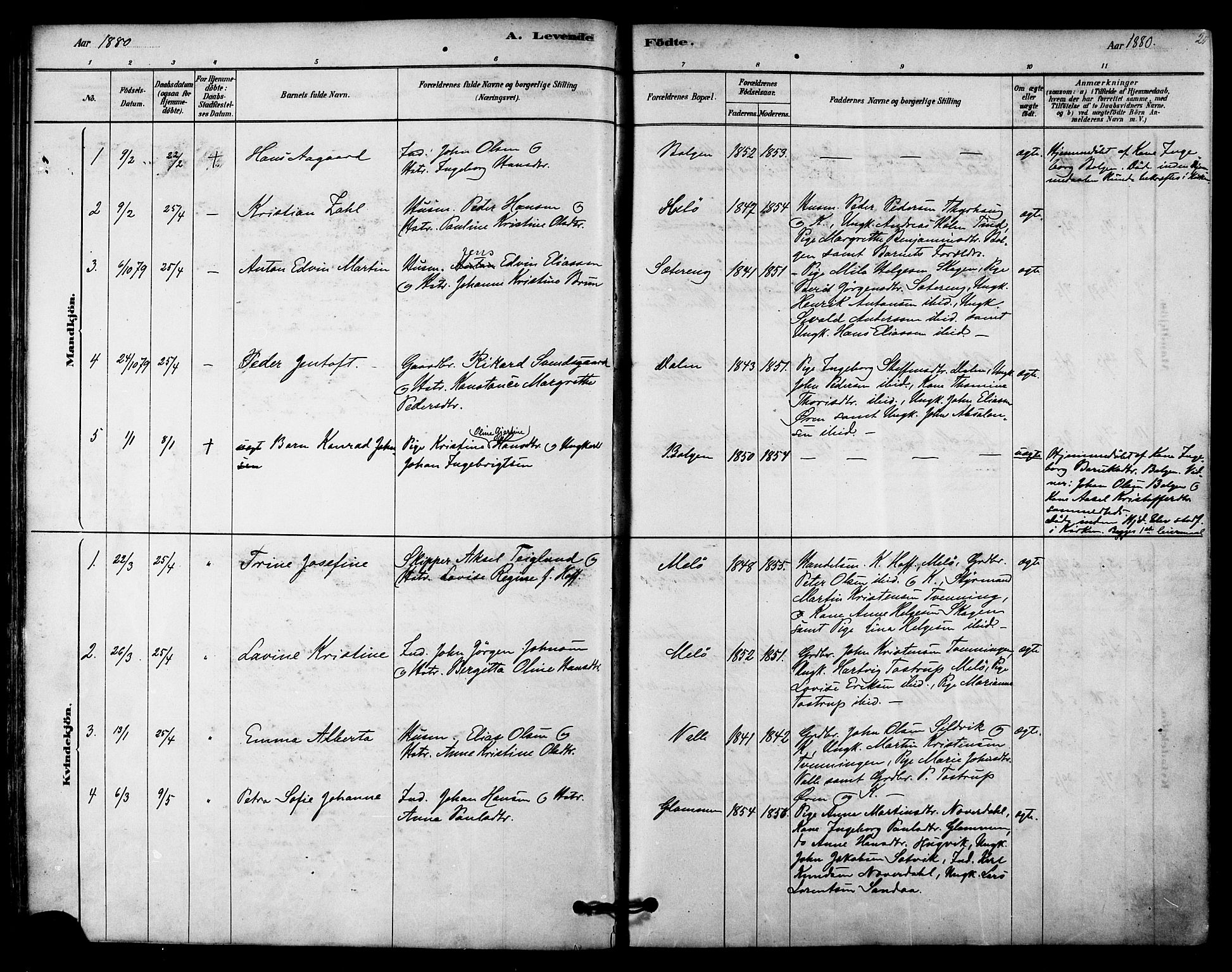 Ministerialprotokoller, klokkerbøker og fødselsregistre - Nordland, SAT/A-1459/843/L0626: Parish register (official) no. 843A01, 1878-1907, p. 20