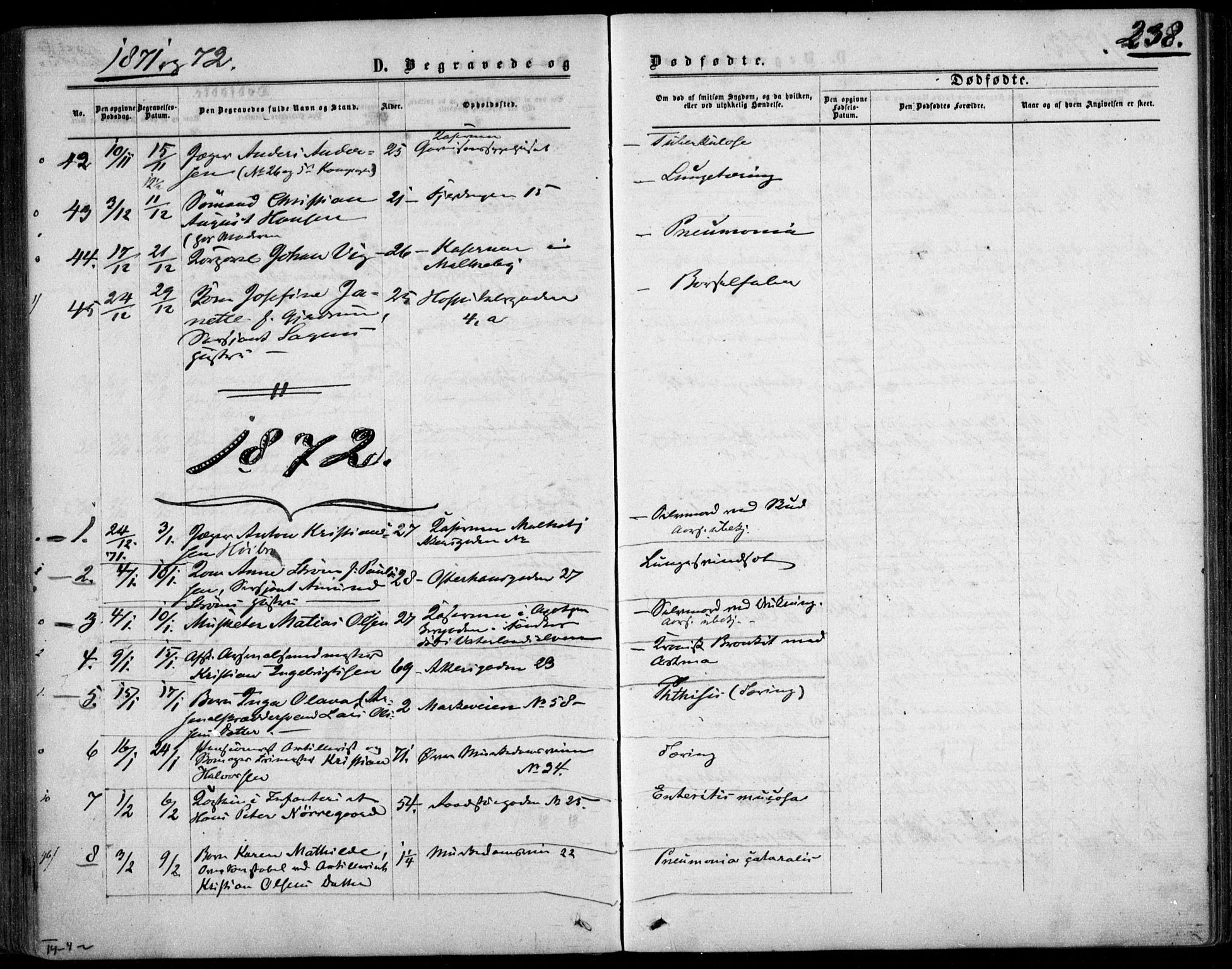 Garnisonsmenigheten Kirkebøker, SAO/A-10846/F/Fa/L0011: Parish register (official) no. 11, 1870-1880, p. 238