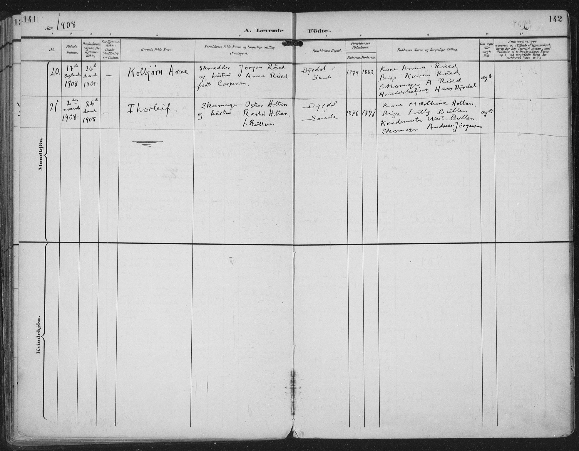 Strømm kirkebøker, AV/SAKO-A-322/F/Fa/L0005: Parish register (official) no. I 5, 1898-1919, p. 141-142