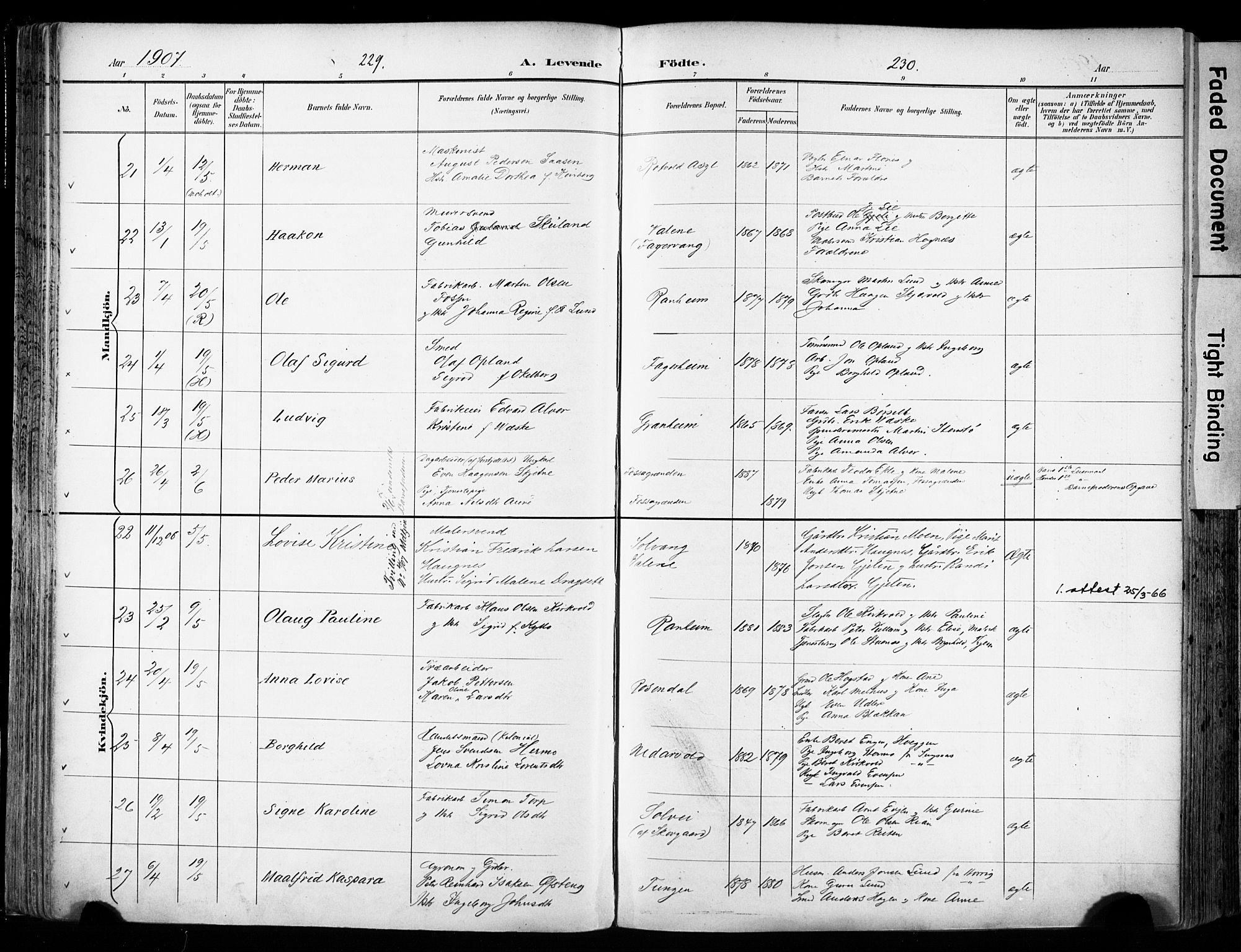 Ministerialprotokoller, klokkerbøker og fødselsregistre - Sør-Trøndelag, AV/SAT-A-1456/606/L0301: Parish register (official) no. 606A16, 1894-1907, p. 229-230