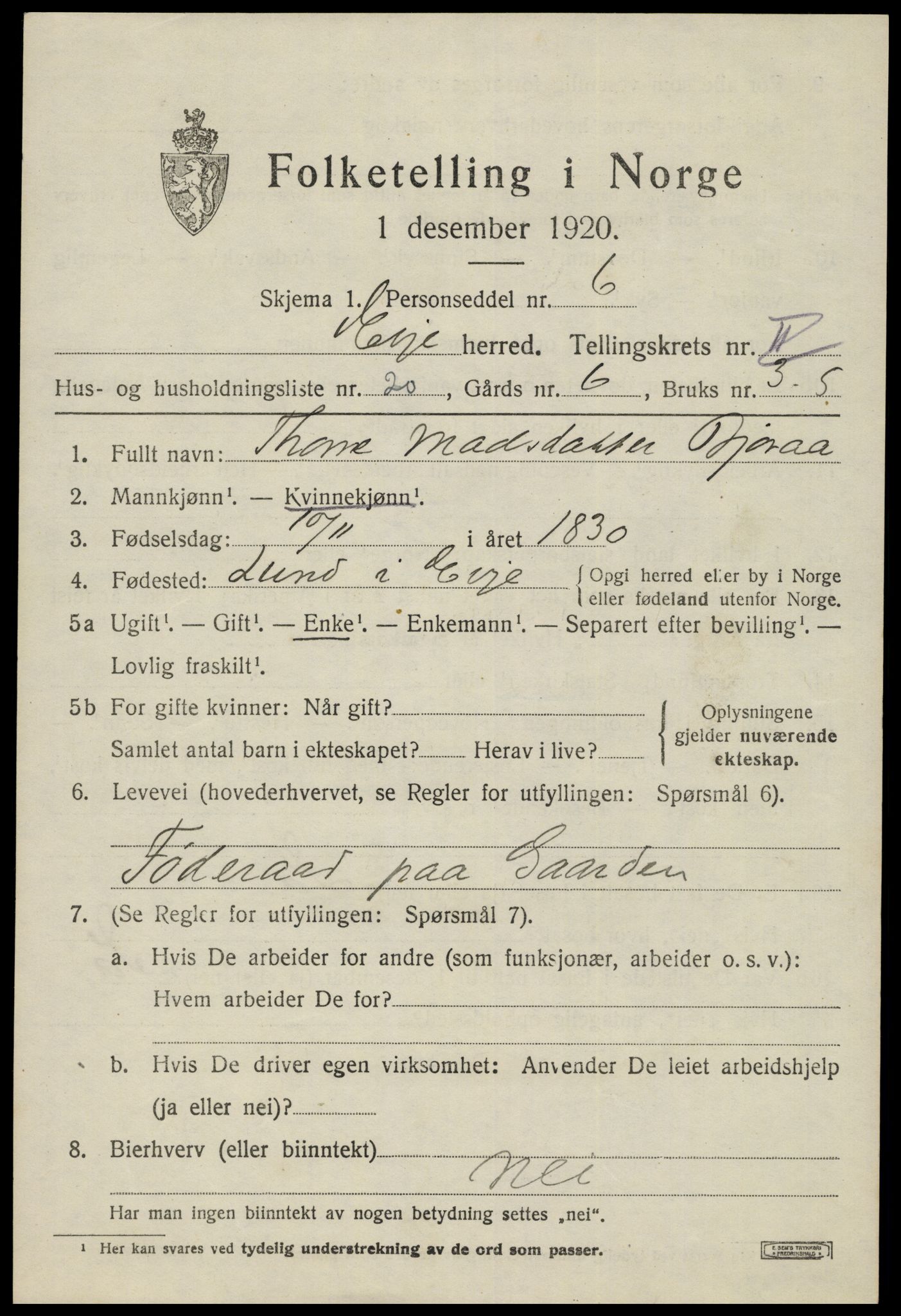 SAK, 1920 census for Evje, 1920, p. 980