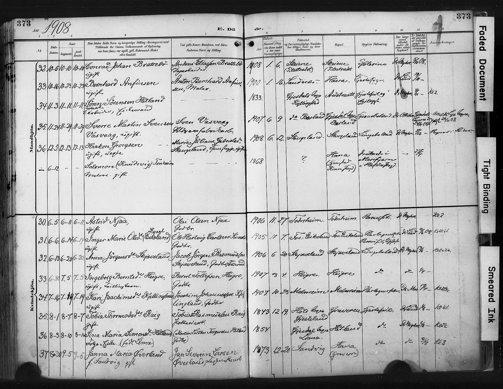 Høyland sokneprestkontor, AV/SAST-A-101799/001/30BA/L0015: Parish register (official) no. A 14, 1899-1911, p. 373