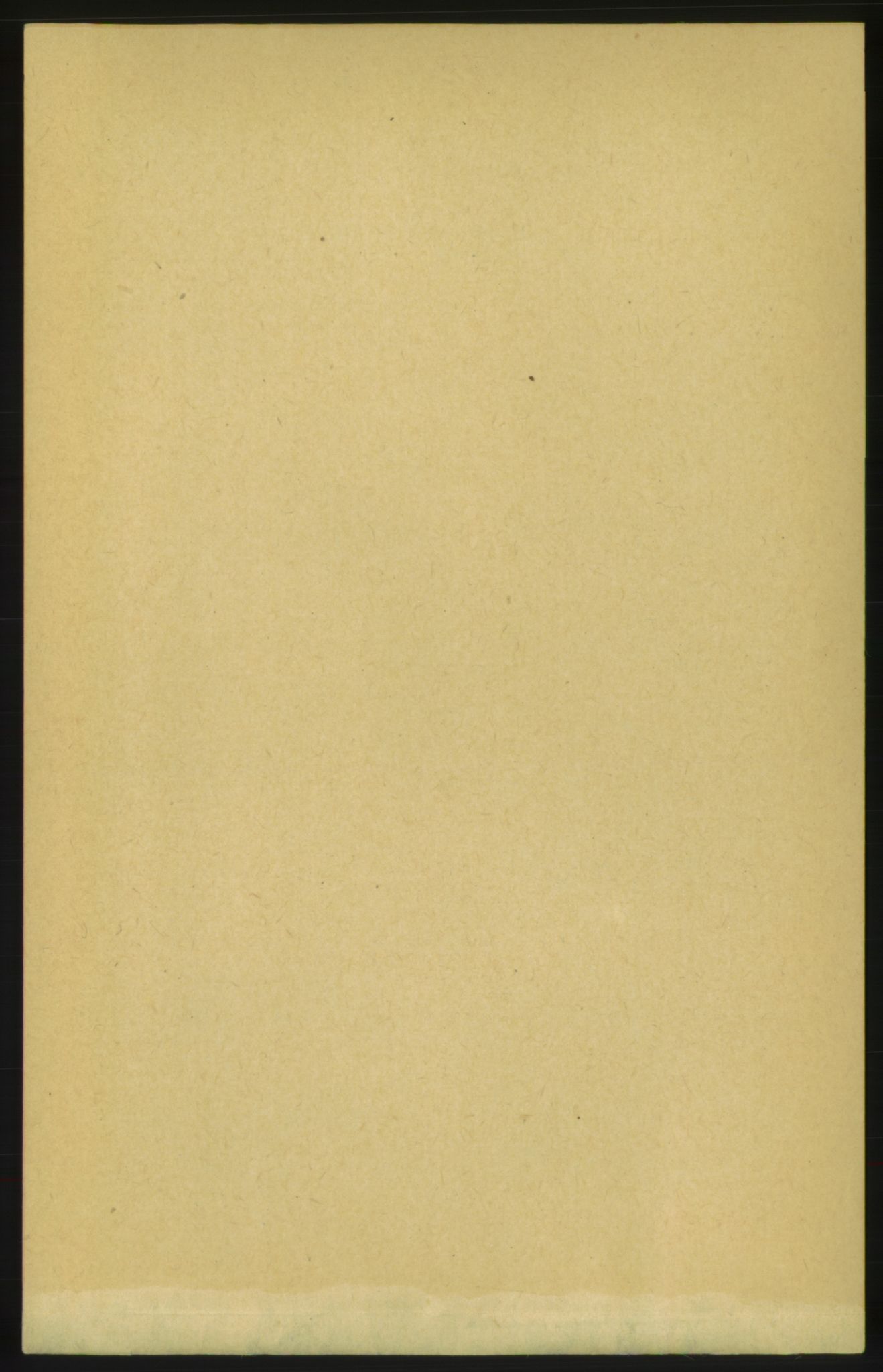 RA, 1891 census for 1553 Kvernes, 1891, p. 4811
