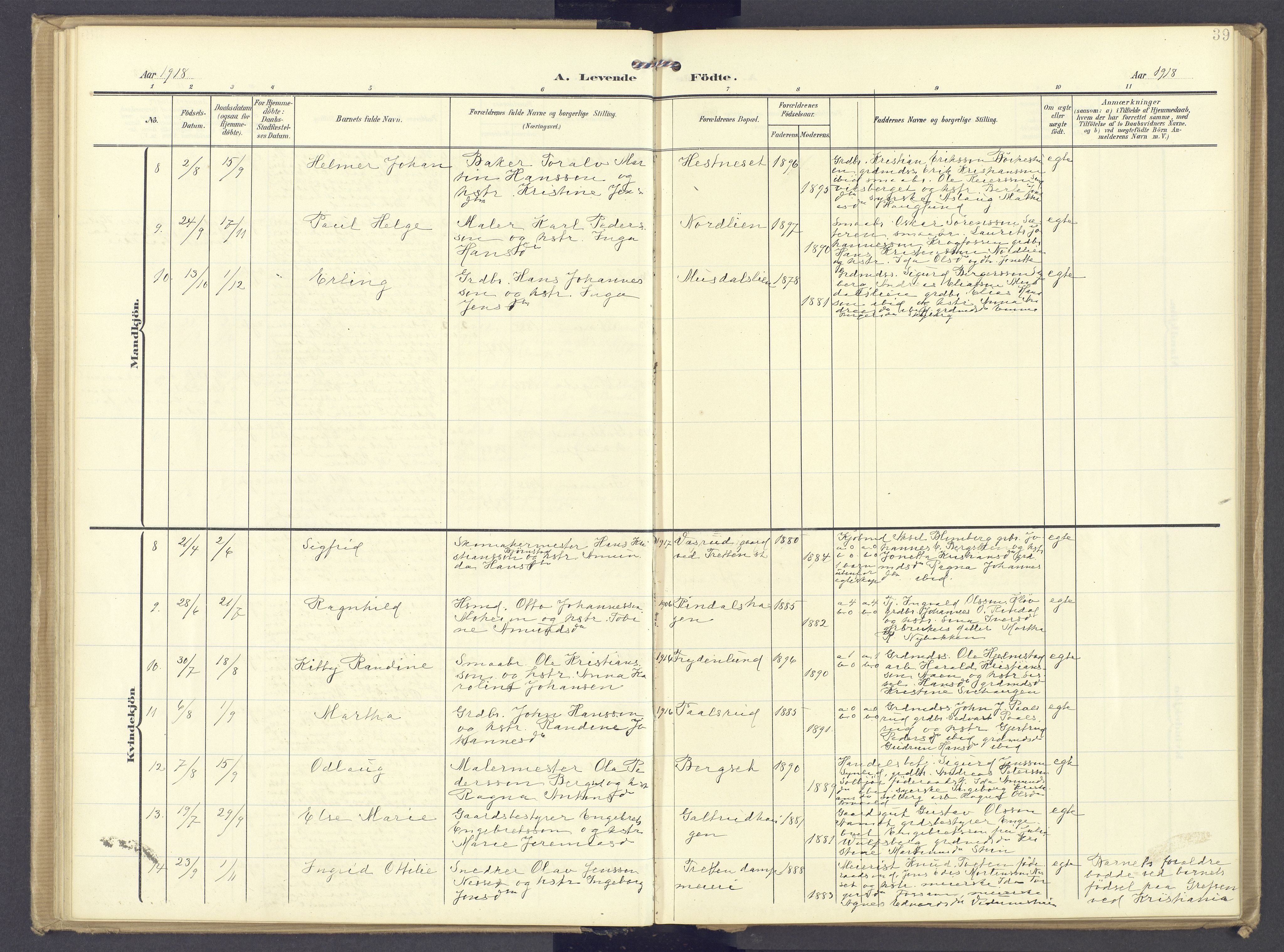 Øyer prestekontor, AV/SAH-PREST-084/H/Ha/Haa/L0013: Parish register (official) no. 13, 1905-1920, p. 39