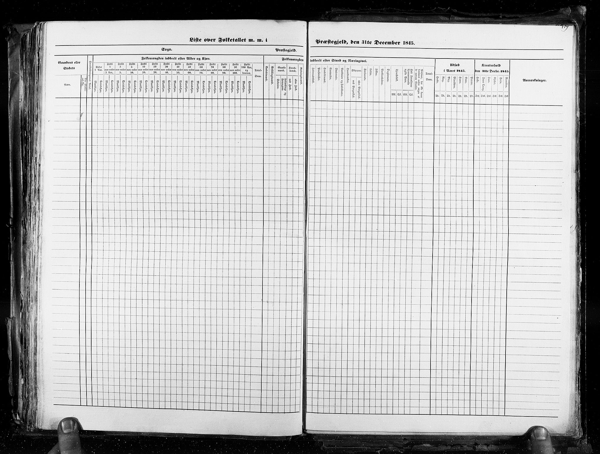 RA, Census 1845, vol. 3: Hedemarken amt og Kristians amt, 1845, p. 419