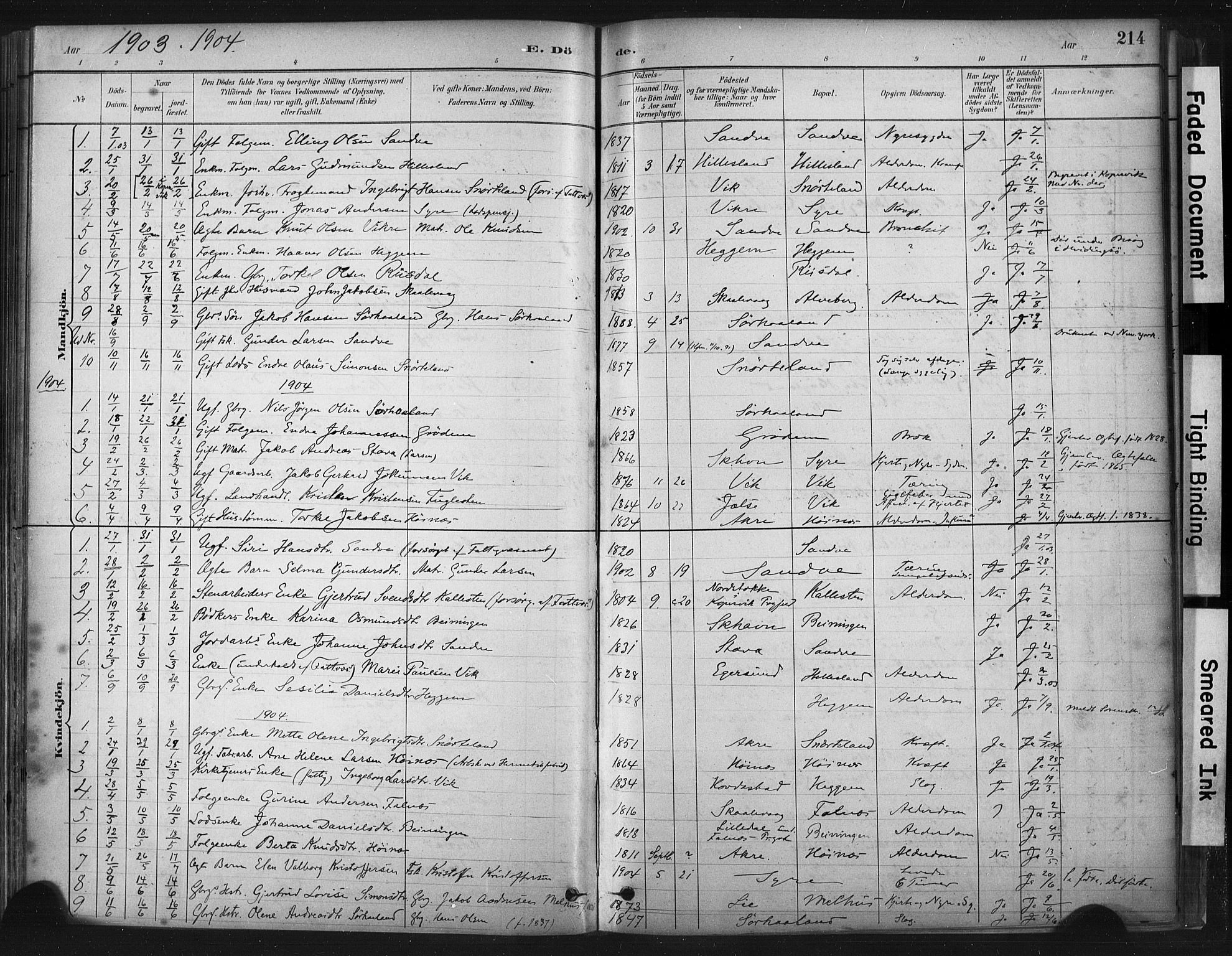 Skudenes sokneprestkontor, SAST/A -101849/H/Ha/Haa/L0009: Parish register (official) no. A 6, 1882-1912, p. 214